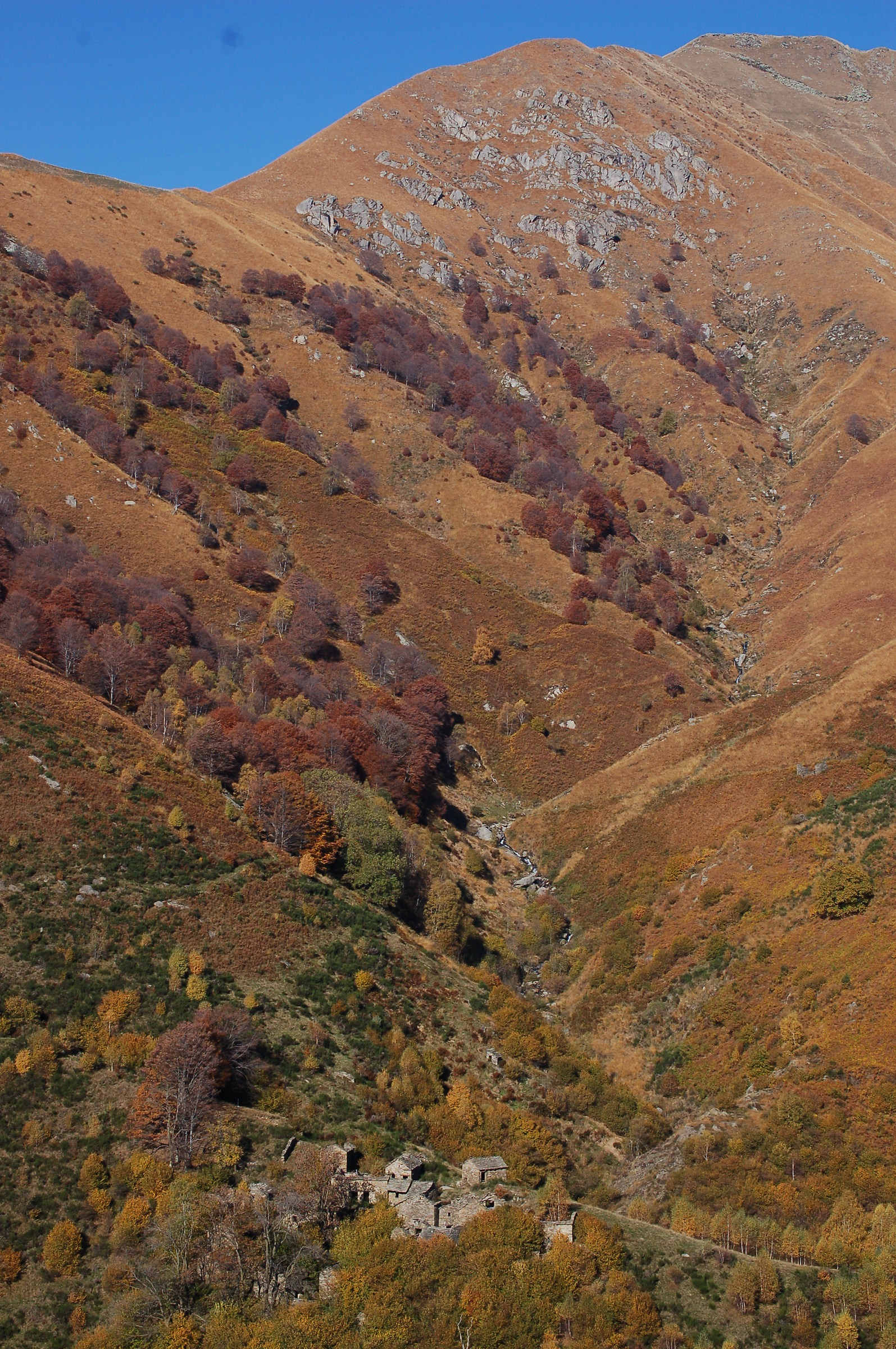 Upper Valley Intrasca in autumn
