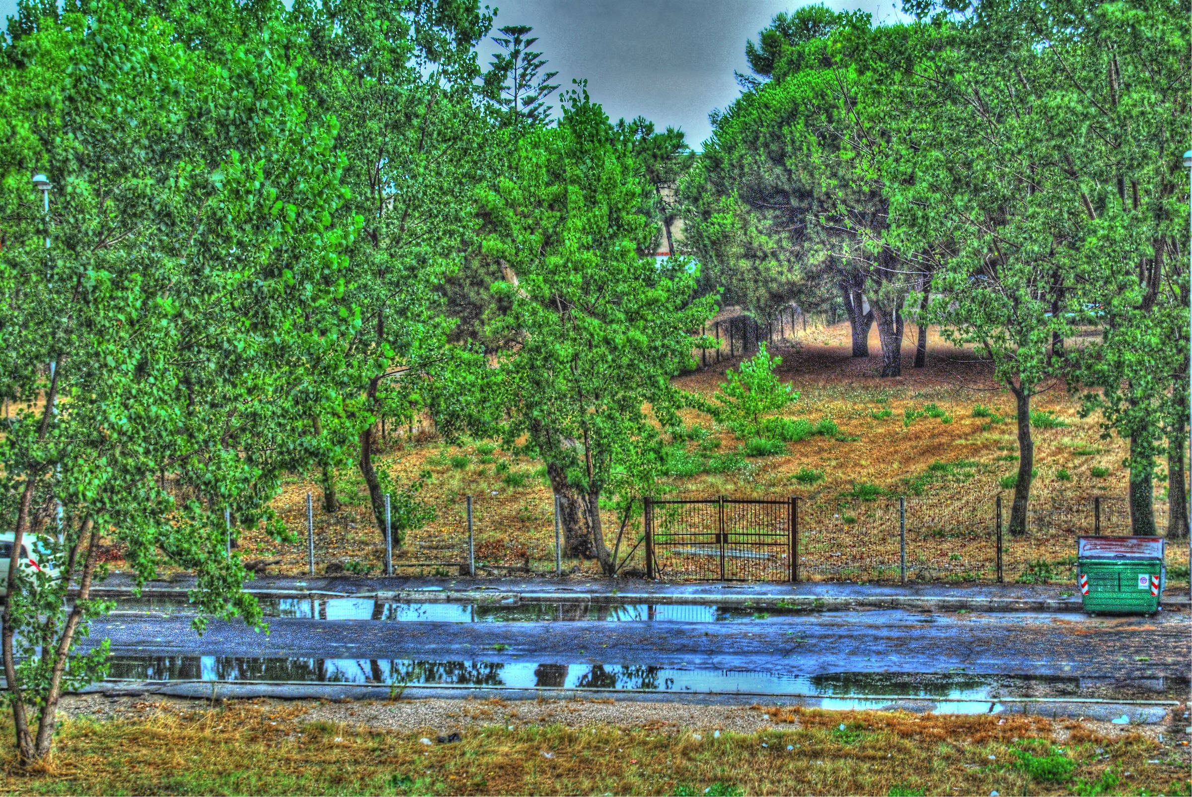 After the storm