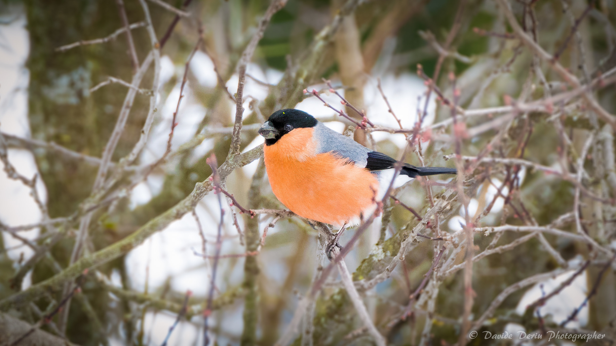 First shot with 7D MK2