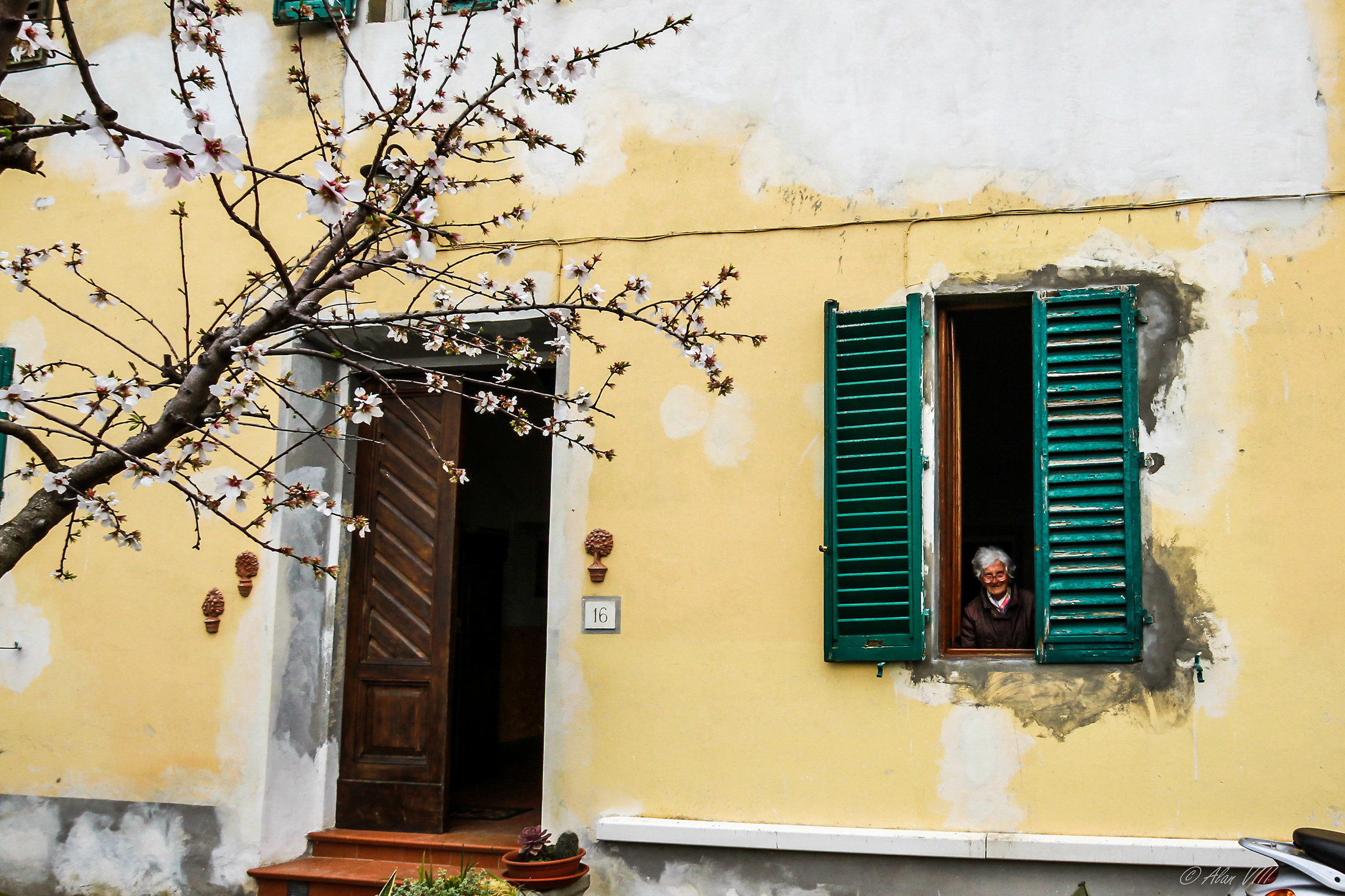 La Giovinezza è dura a sfiorire