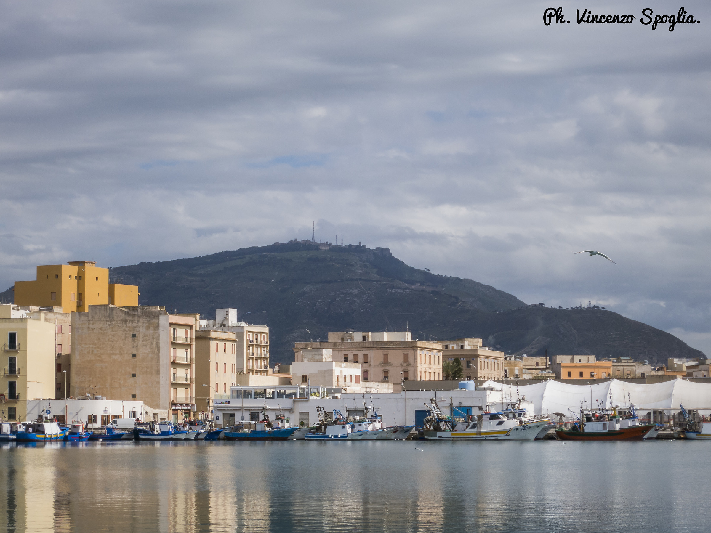 La montagna vista dal porto - Trapani