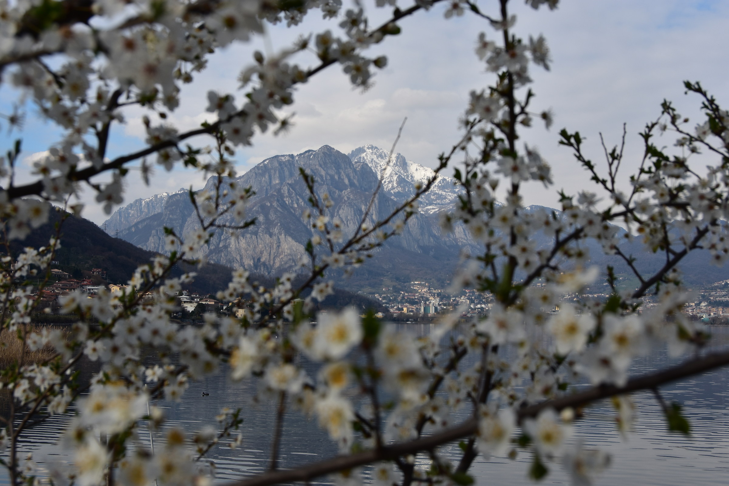 Valsassina da Garlate (Lc)