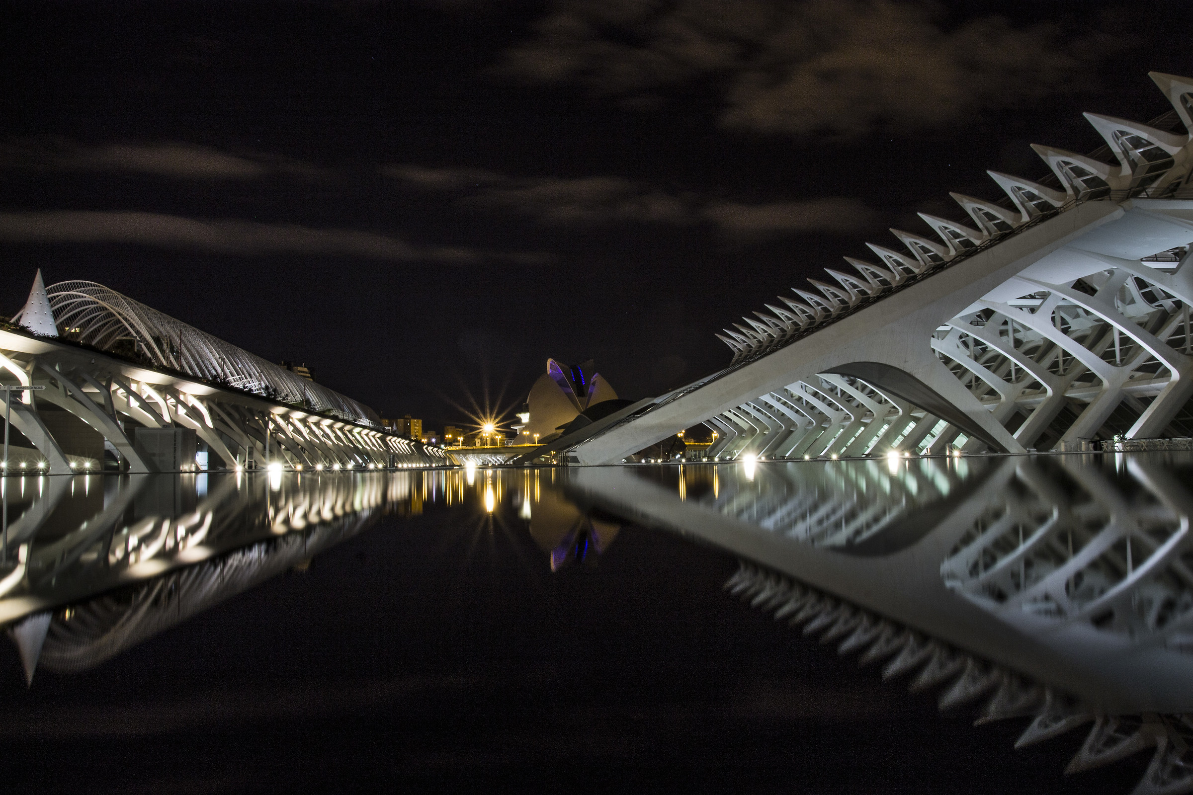 nocturnal reflections ...