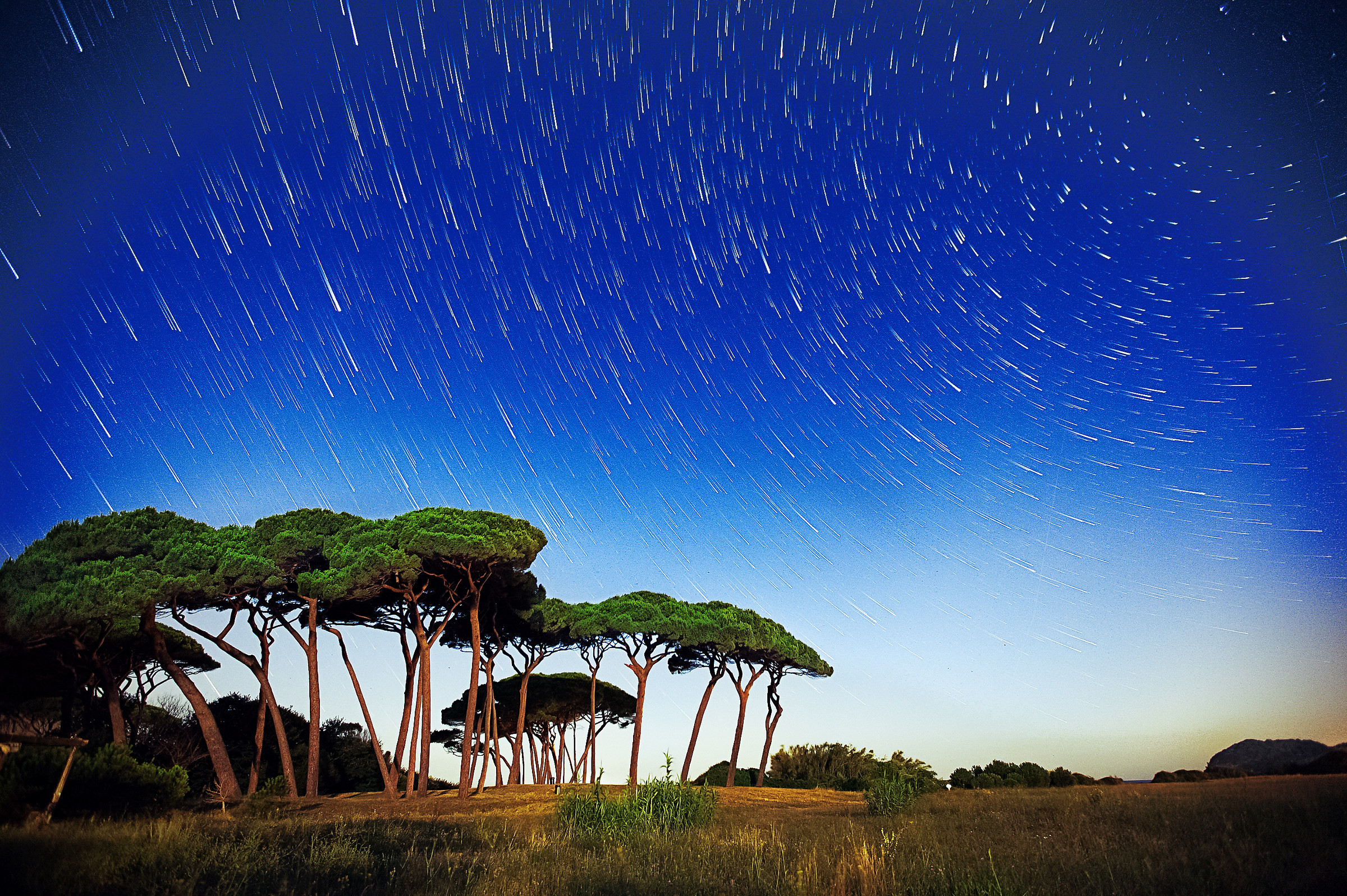 Shooting stars on the Gulf of Baratti