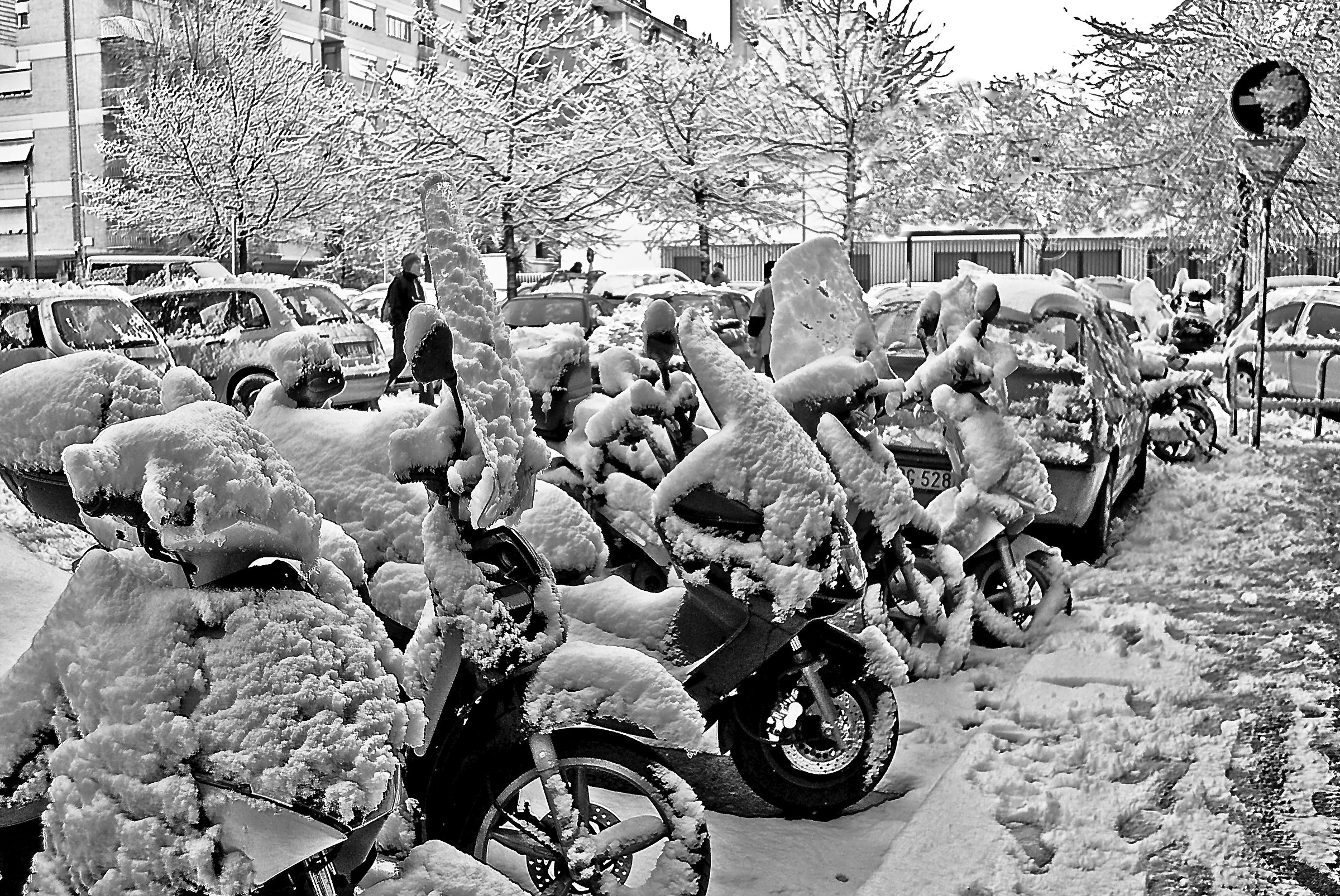 Motorini congelati