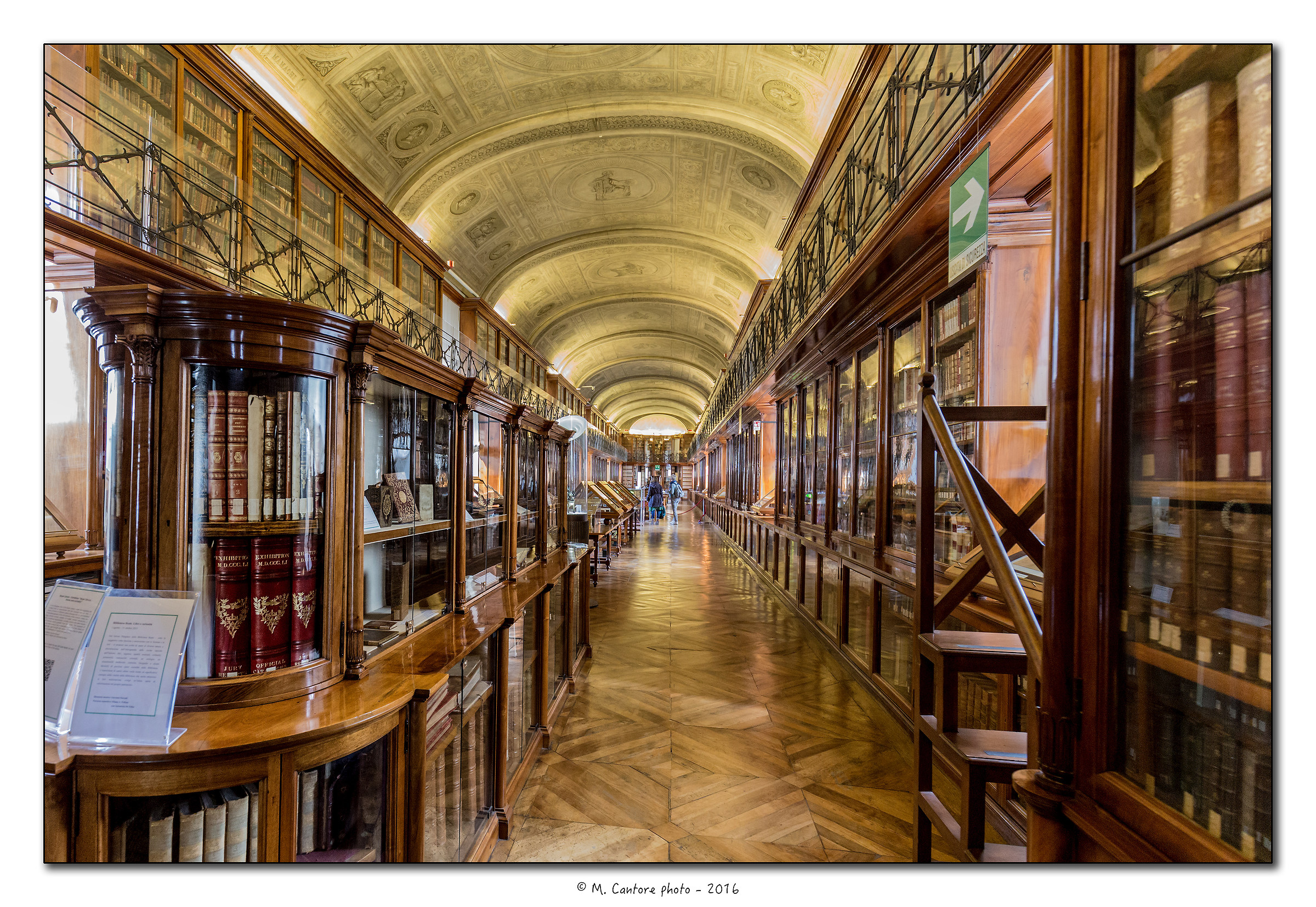 Biblioteca Reale