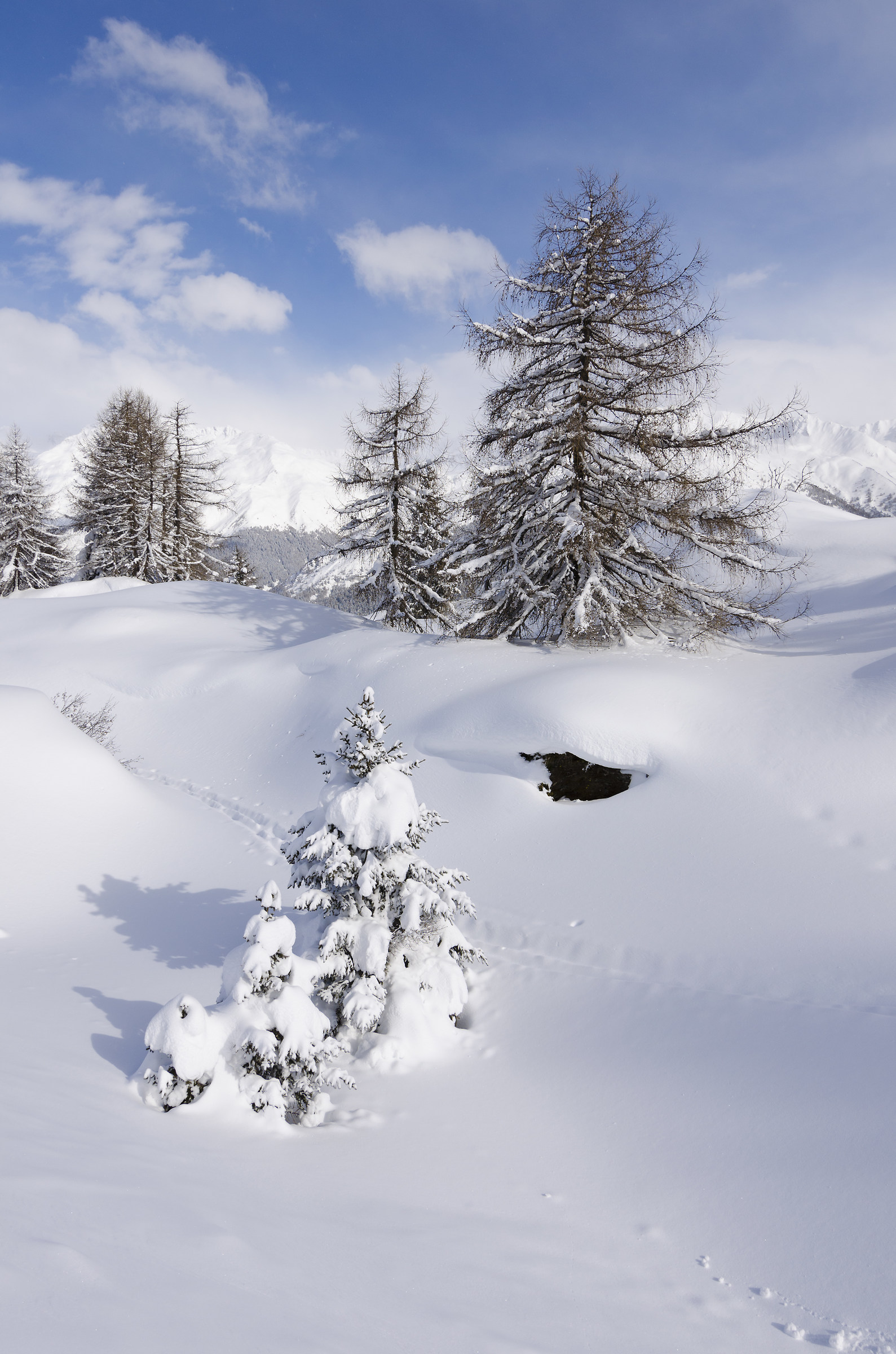 Piccolo Canada in Trentino