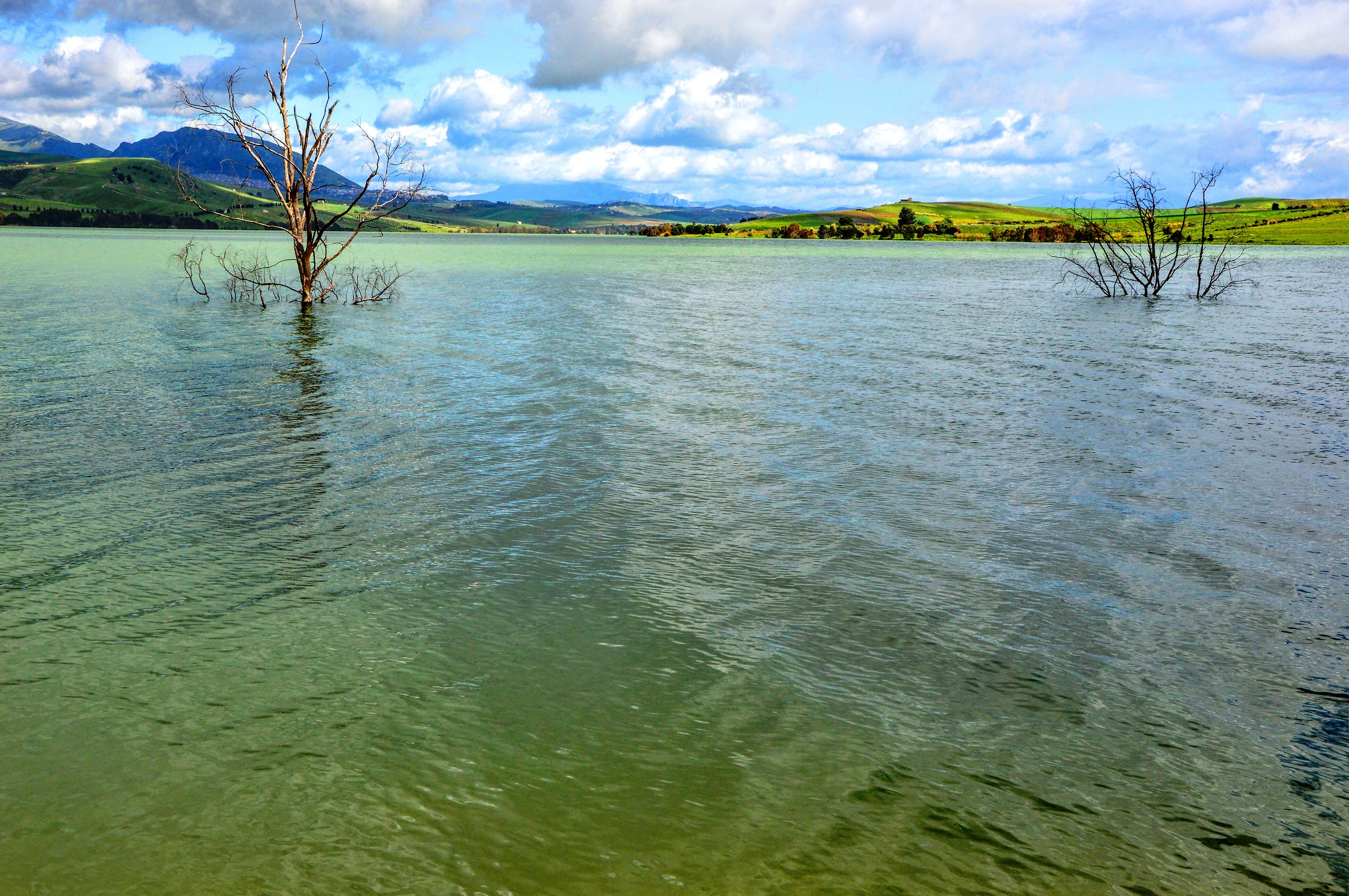 Diga Jato, Partinico