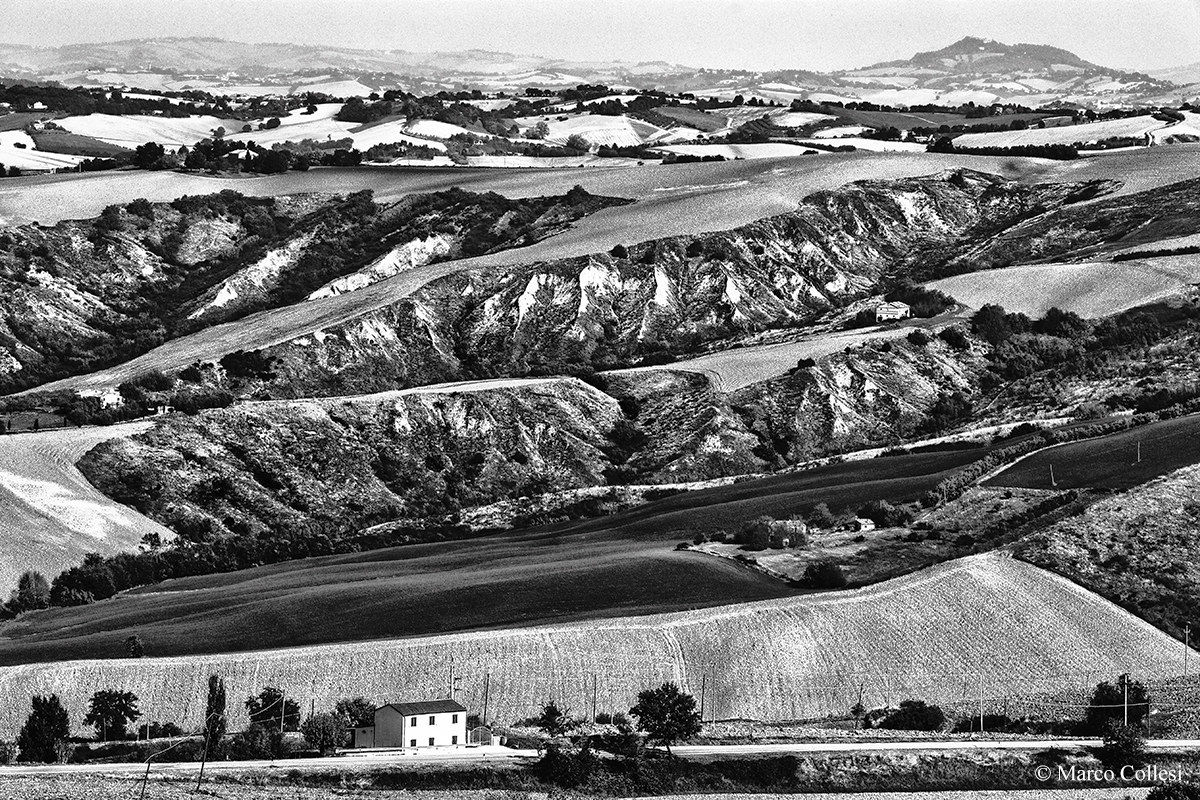 Anatomy of the Campaign Marches