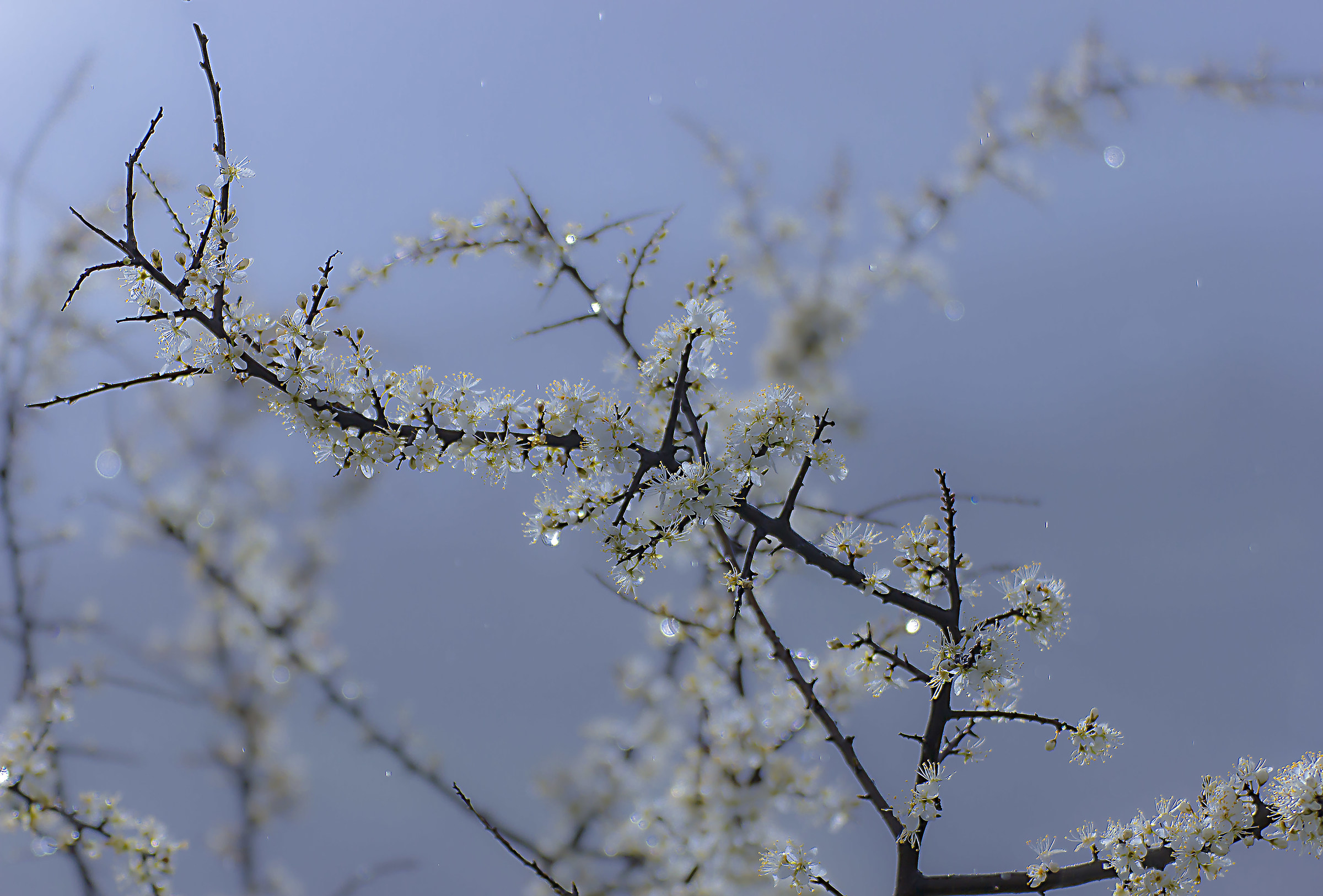 sotto la pioggia con il sole