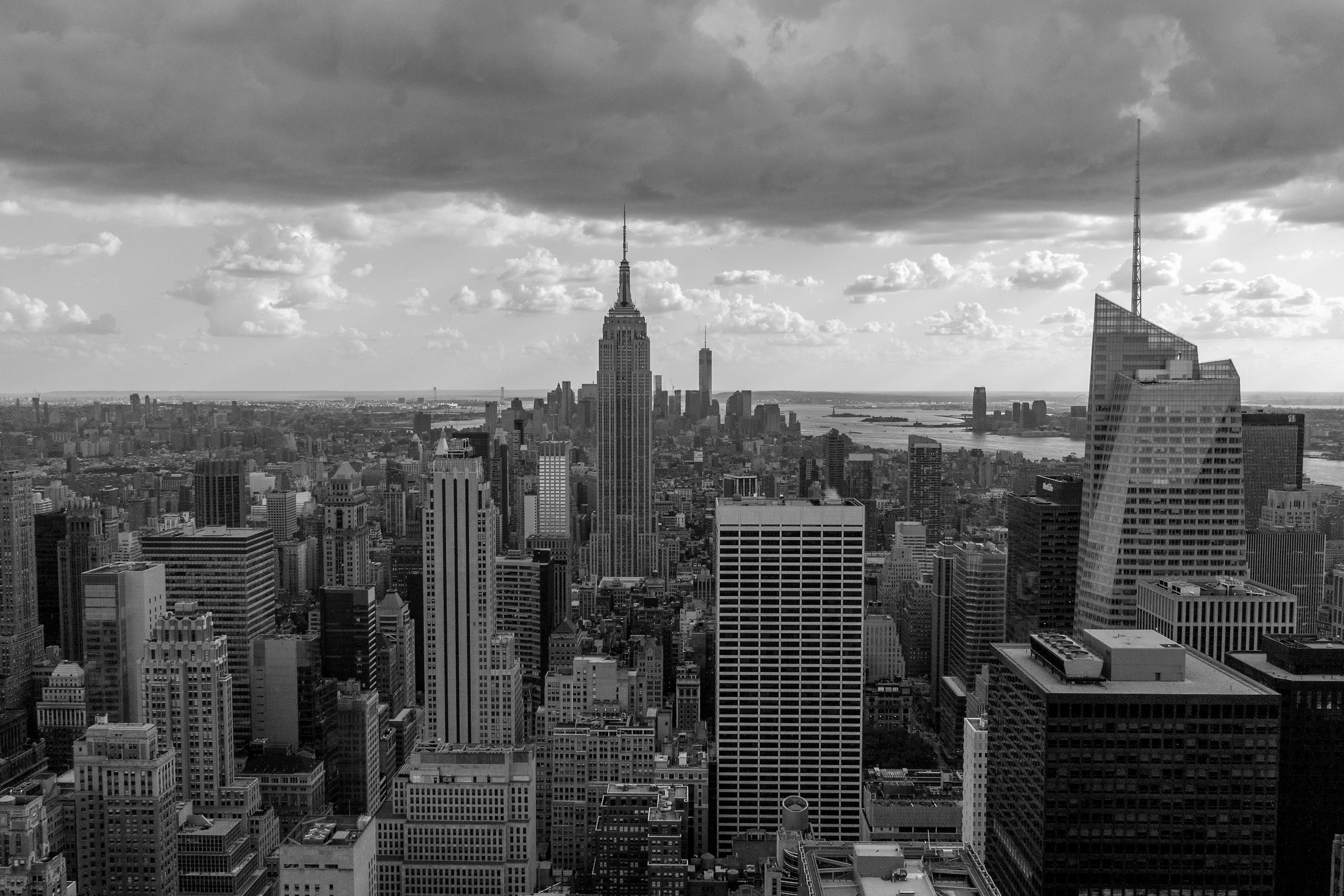 Ricerca di King Kong