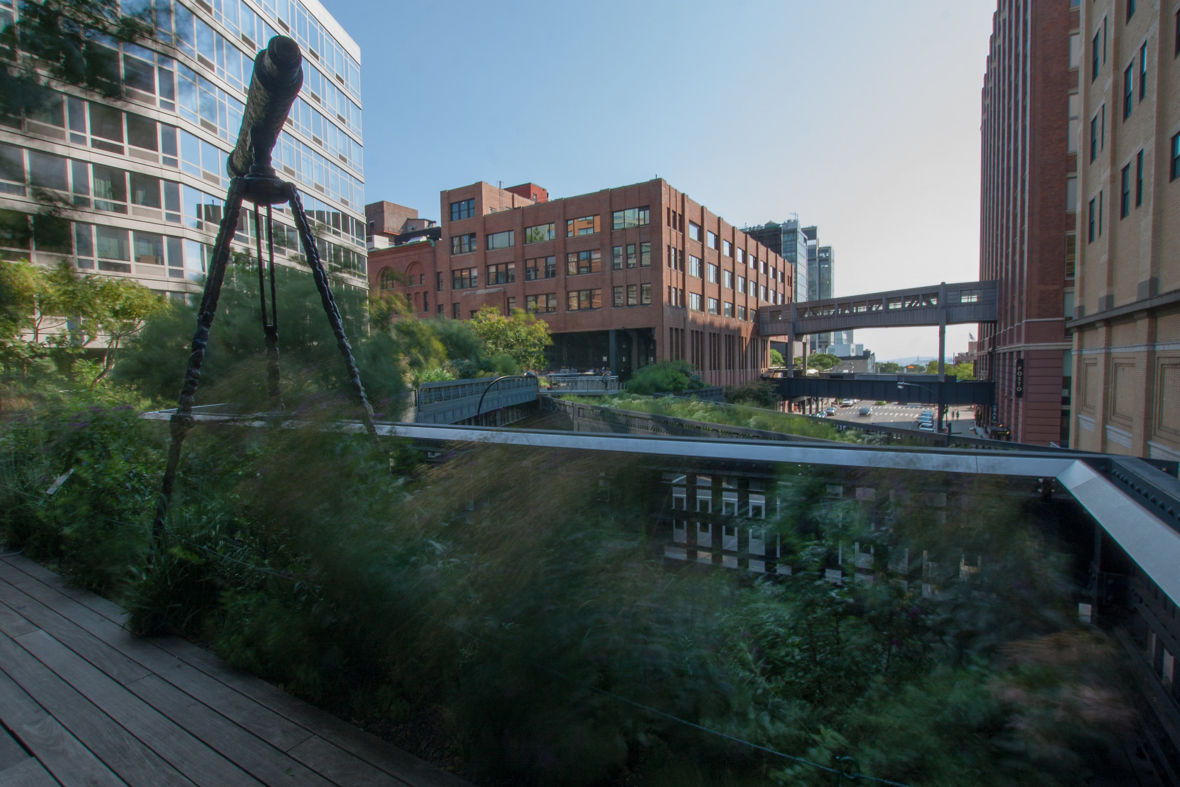 Fluttuando sospesi nel verde