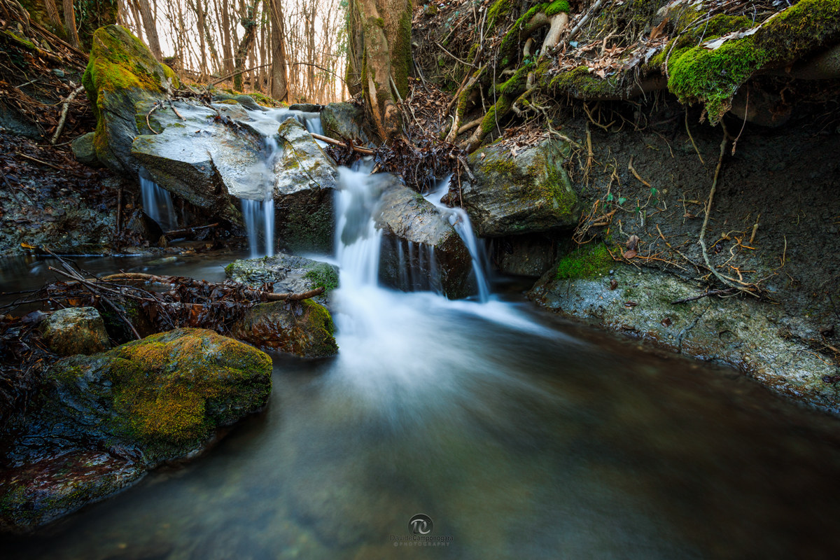 Surprise among the Lakes of Avigliana