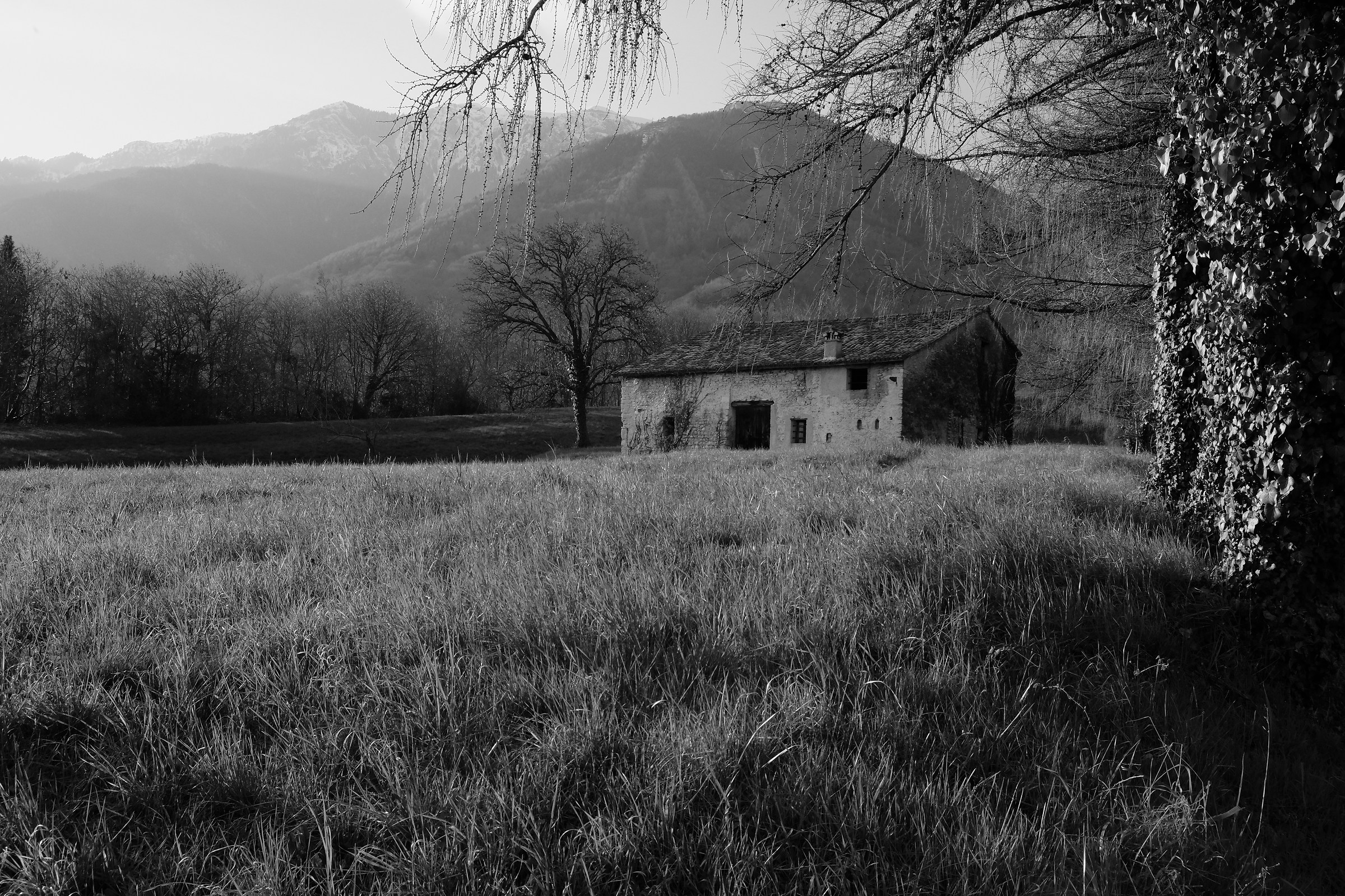 la casetta dei sogni