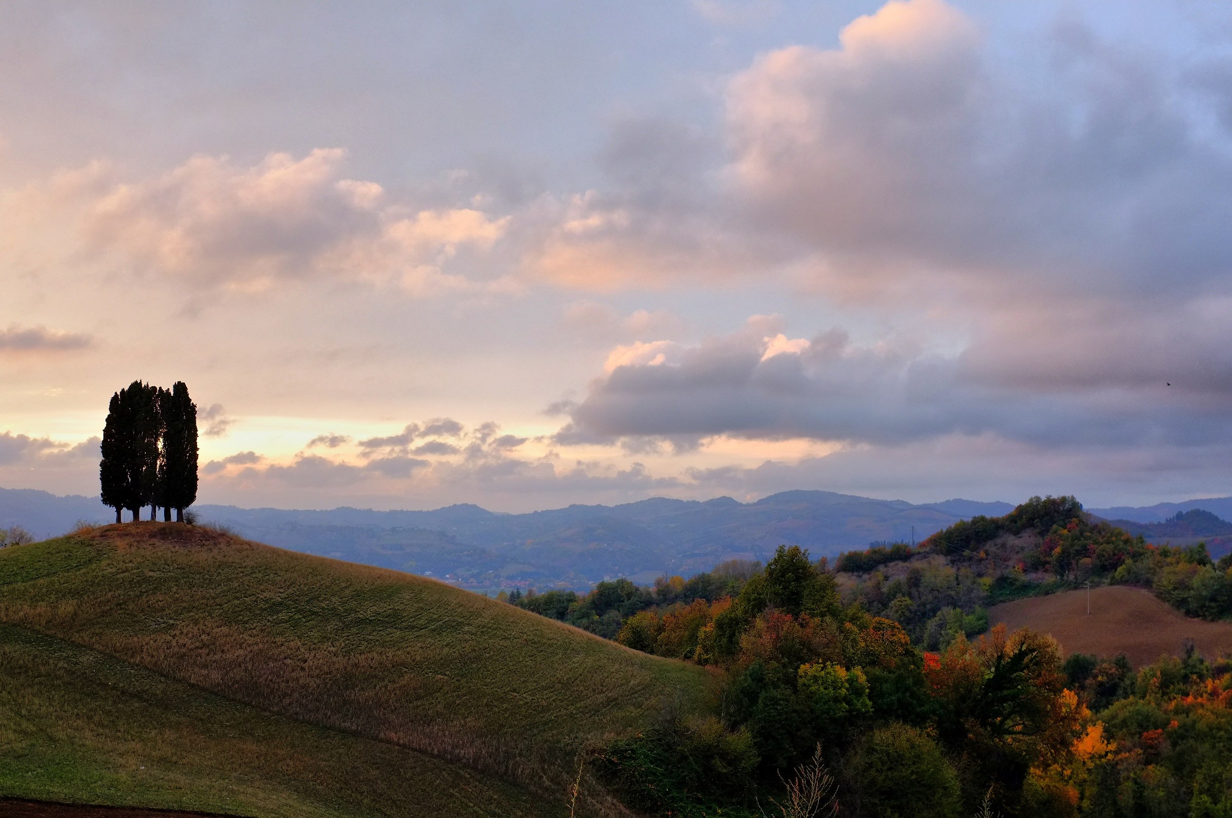 La Collina dei Cipressi