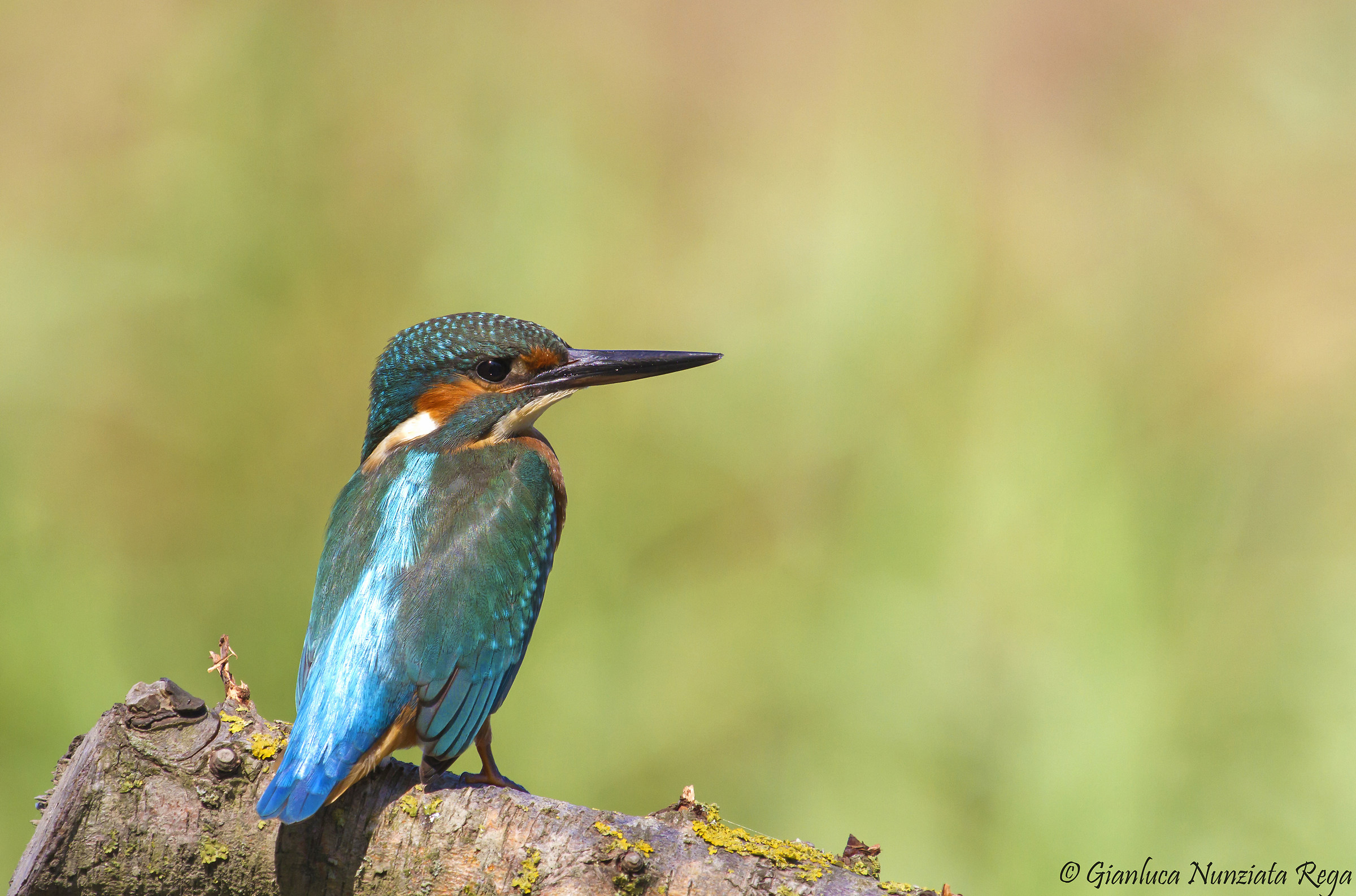 Lo splendente lato B della Martina