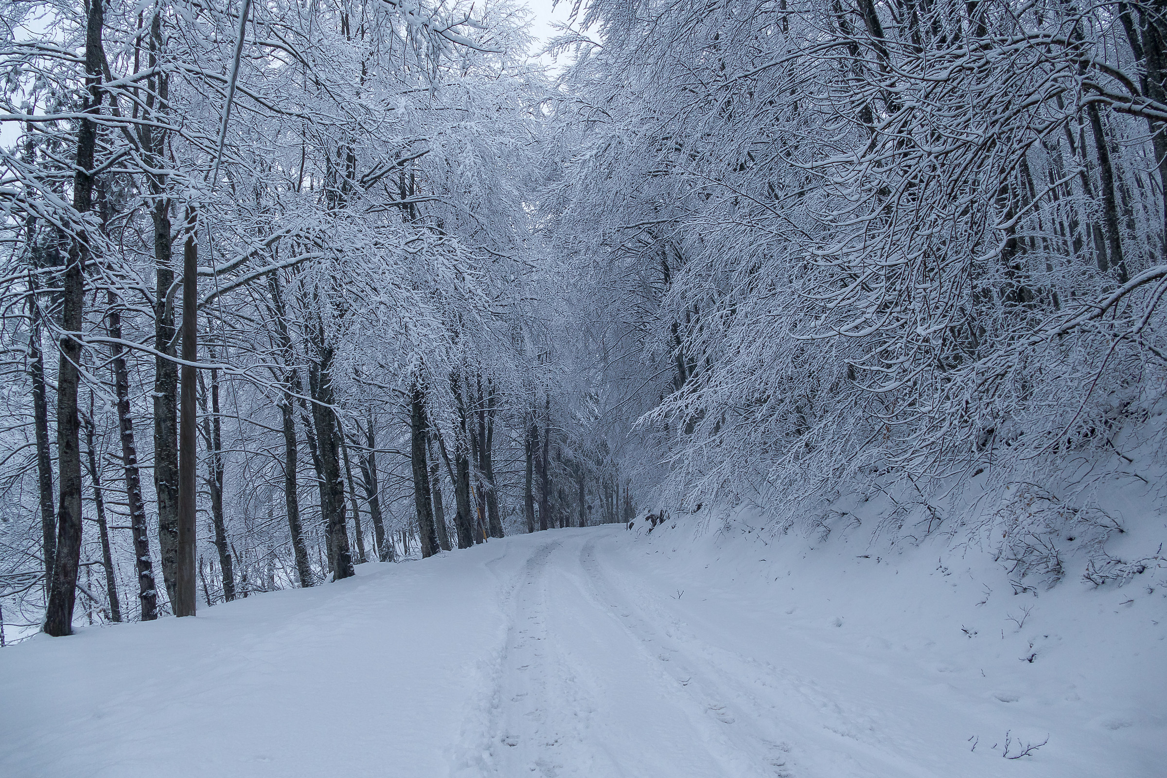 Neve A Passo Lanciano (ch)