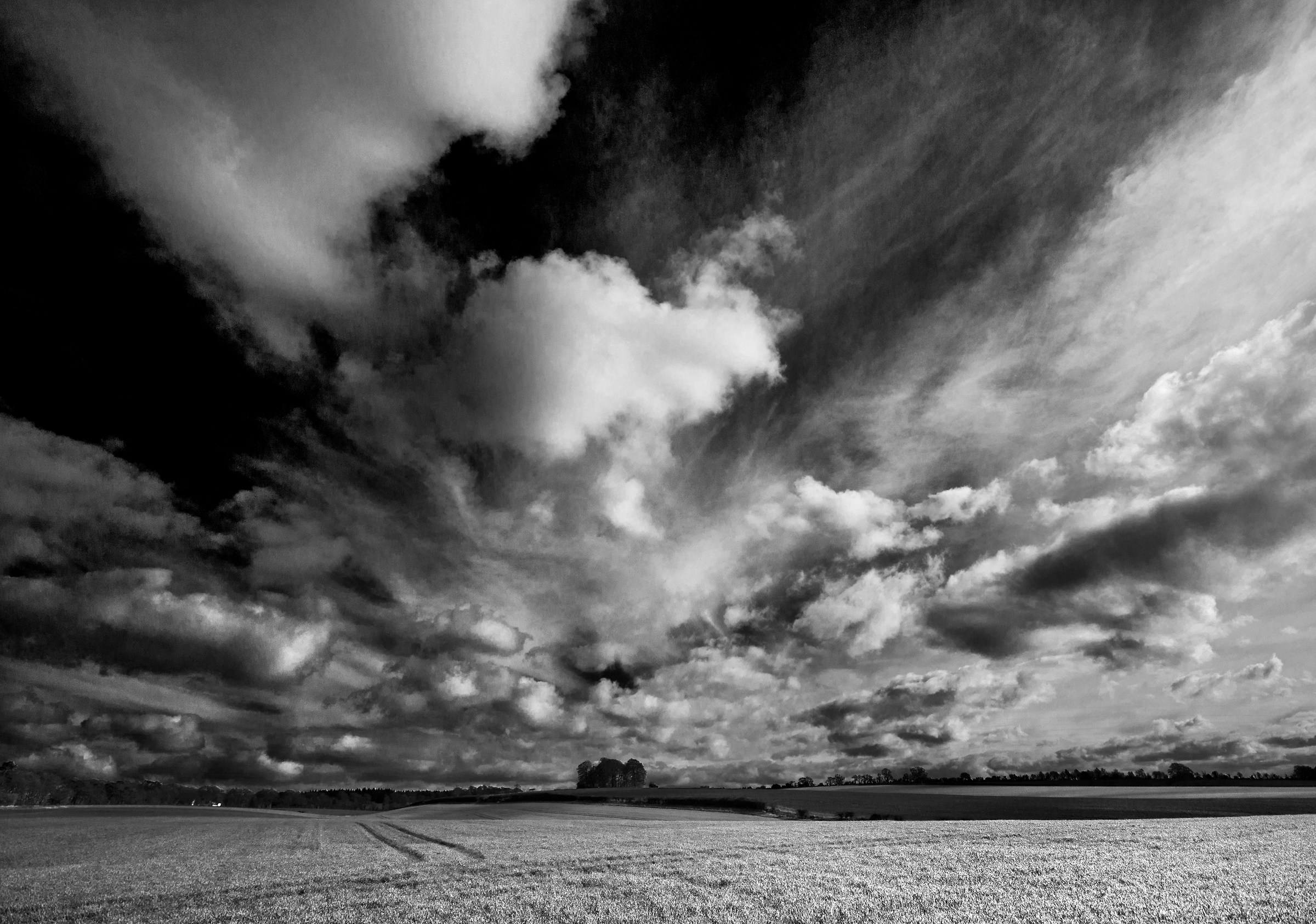 The Big, the Bold and the Beautiful.