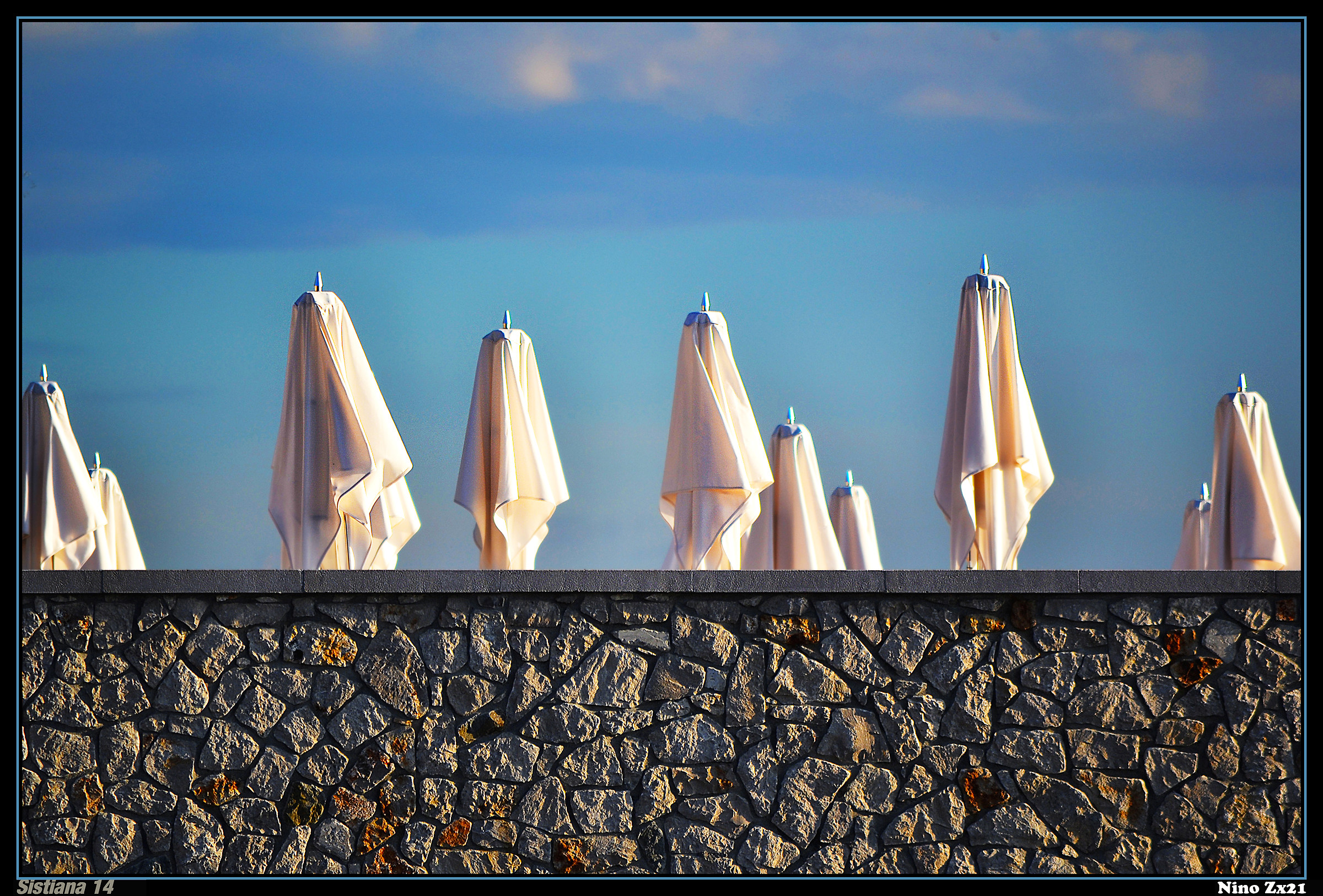 Le sentinelle dell' estate