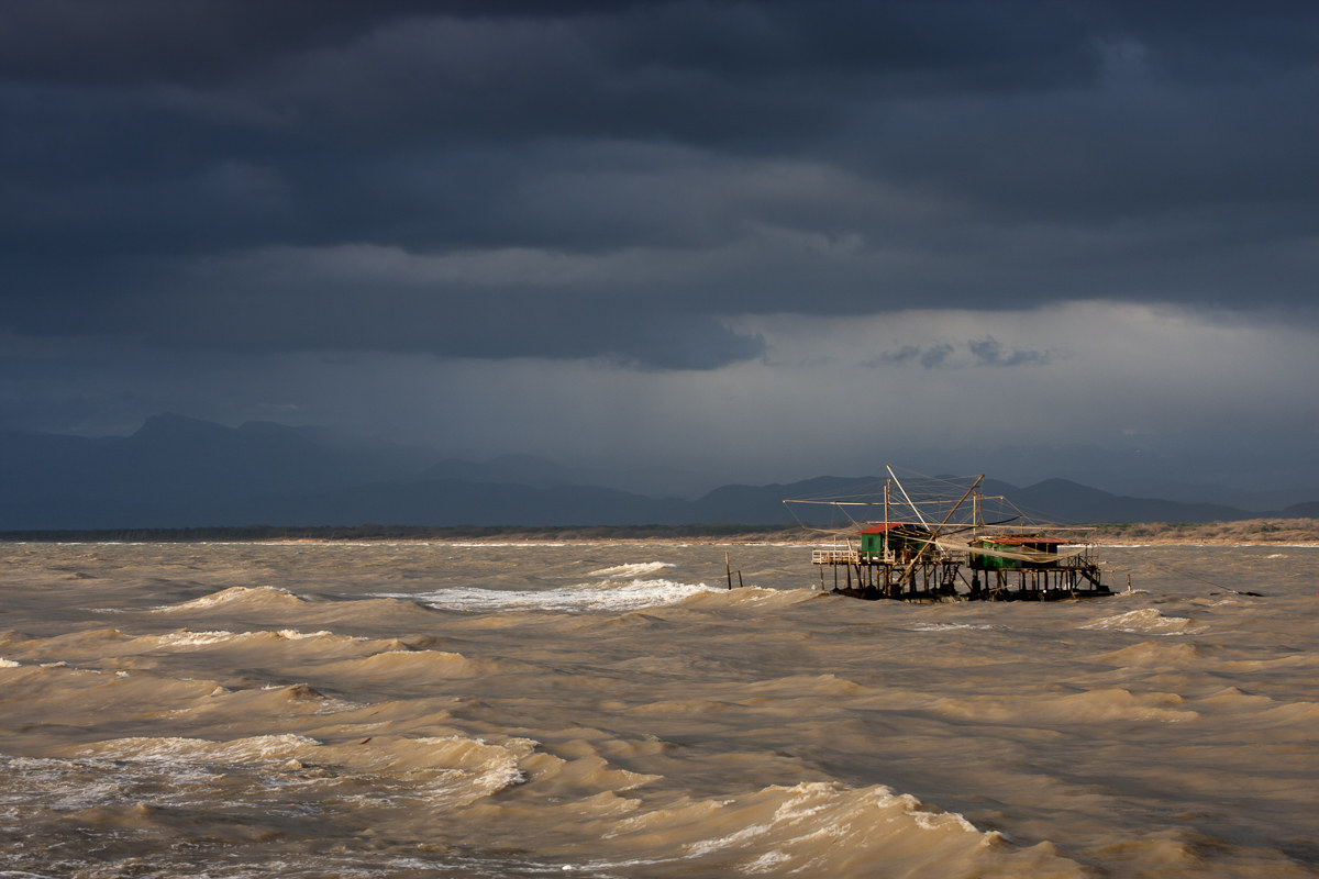 How tender lovers ...