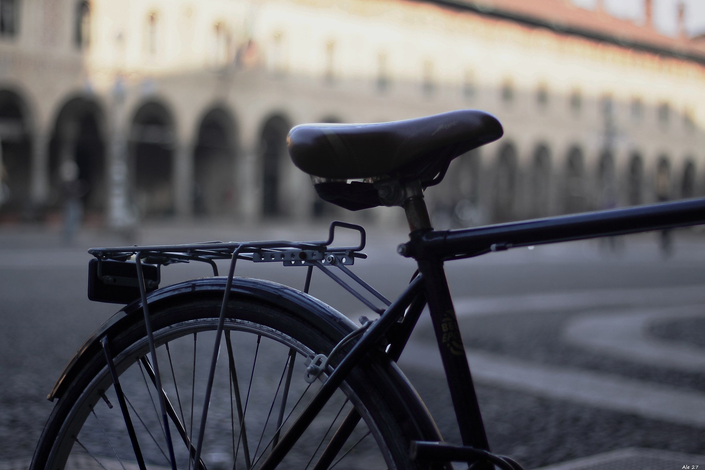 ... equilibrio e libertà ...