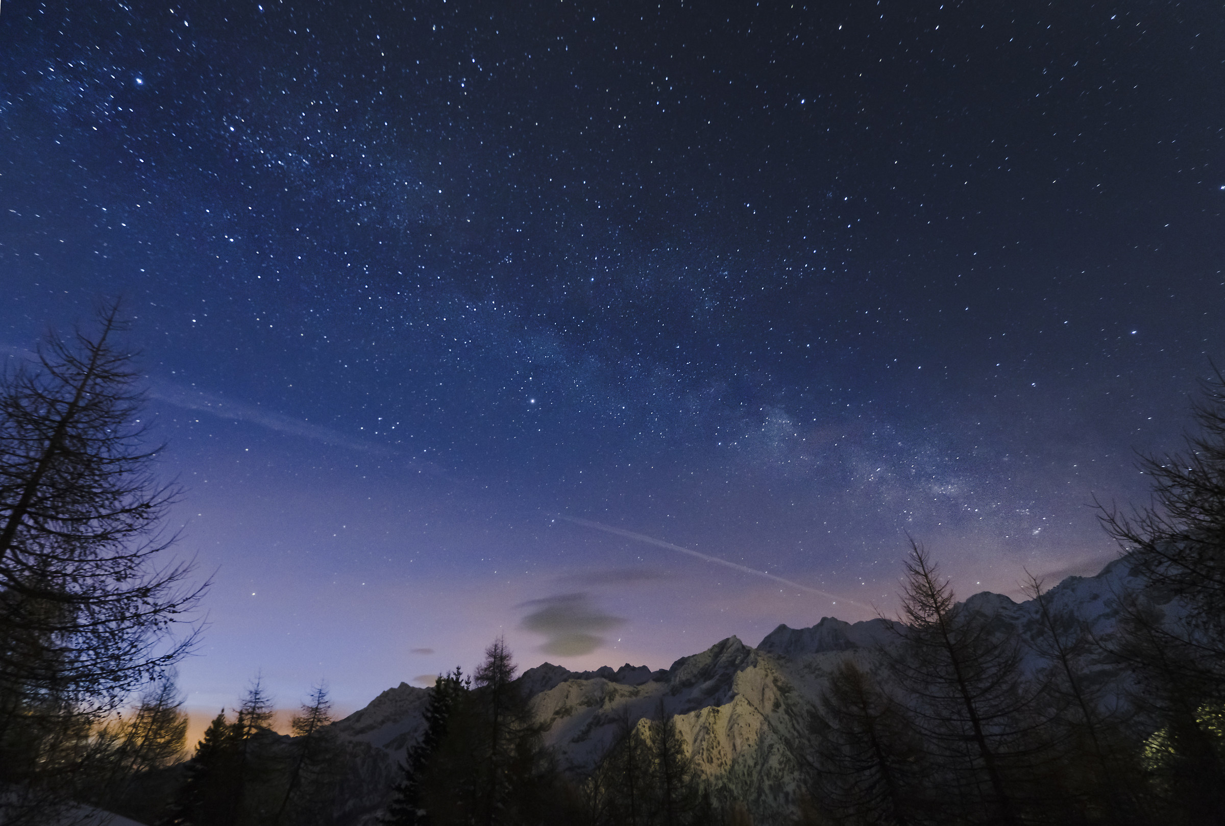 "And then we went to see the stars"