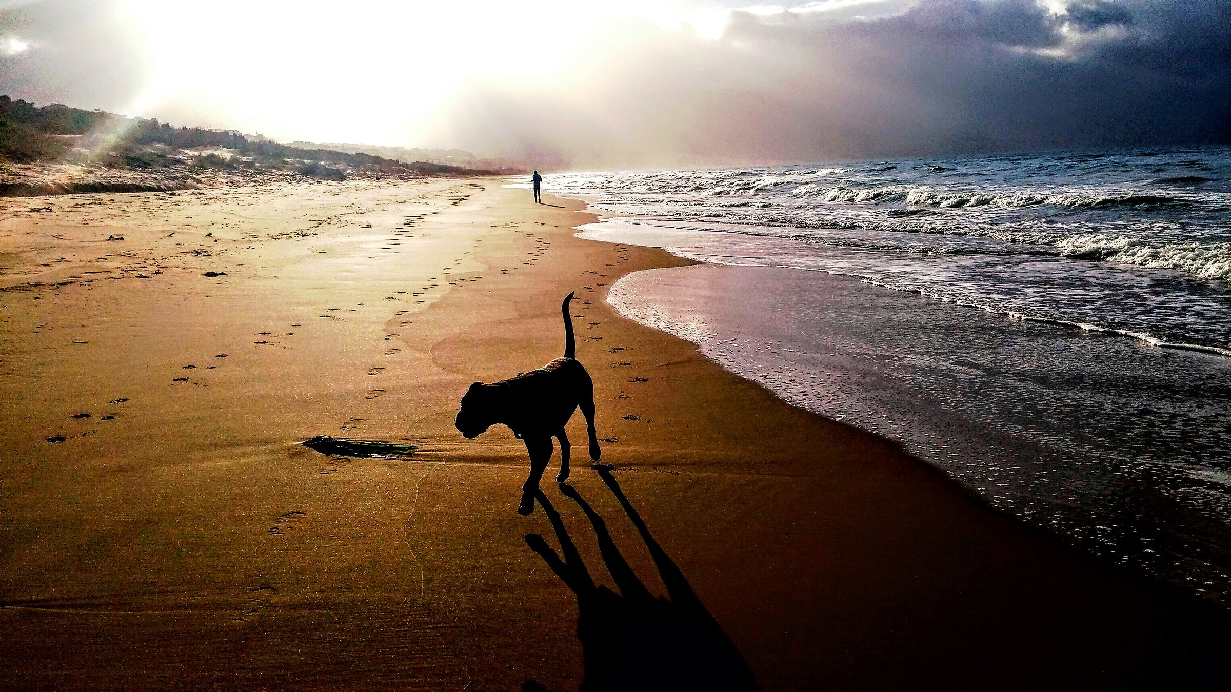 Spiaggiando a Balestrate (Pa)