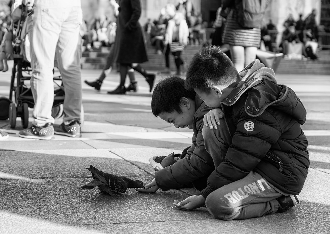 ragazzi del duomo n.1