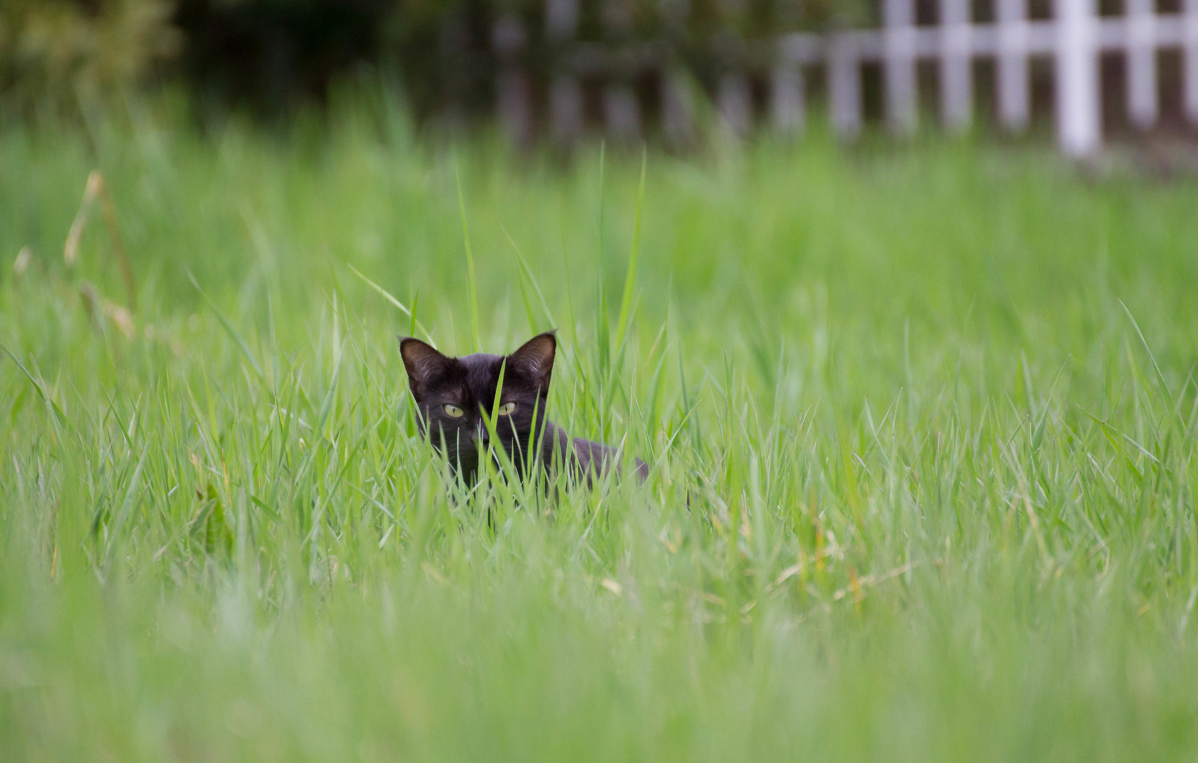 I'm watching you! :)