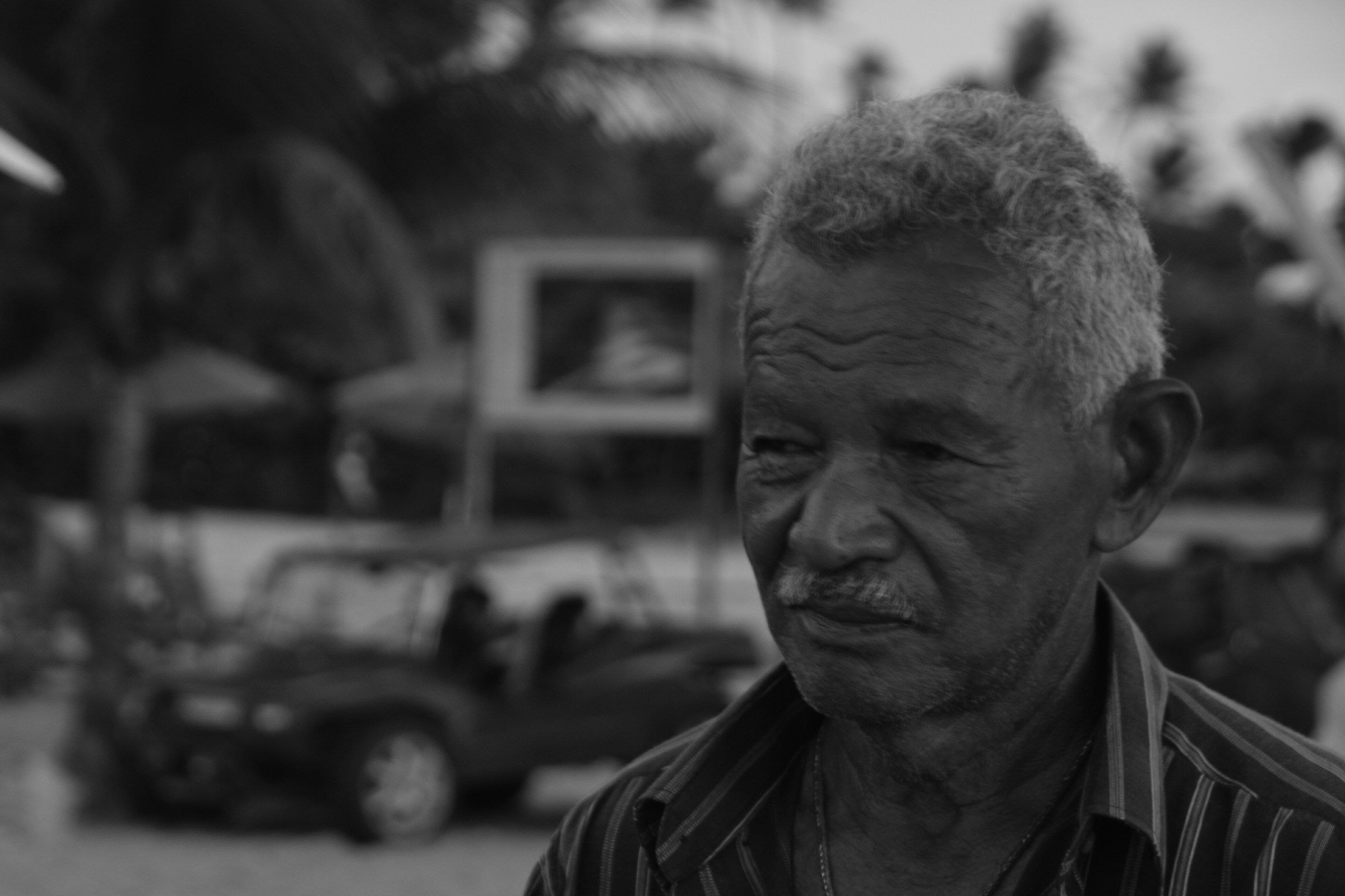 Brasile jericoacoara