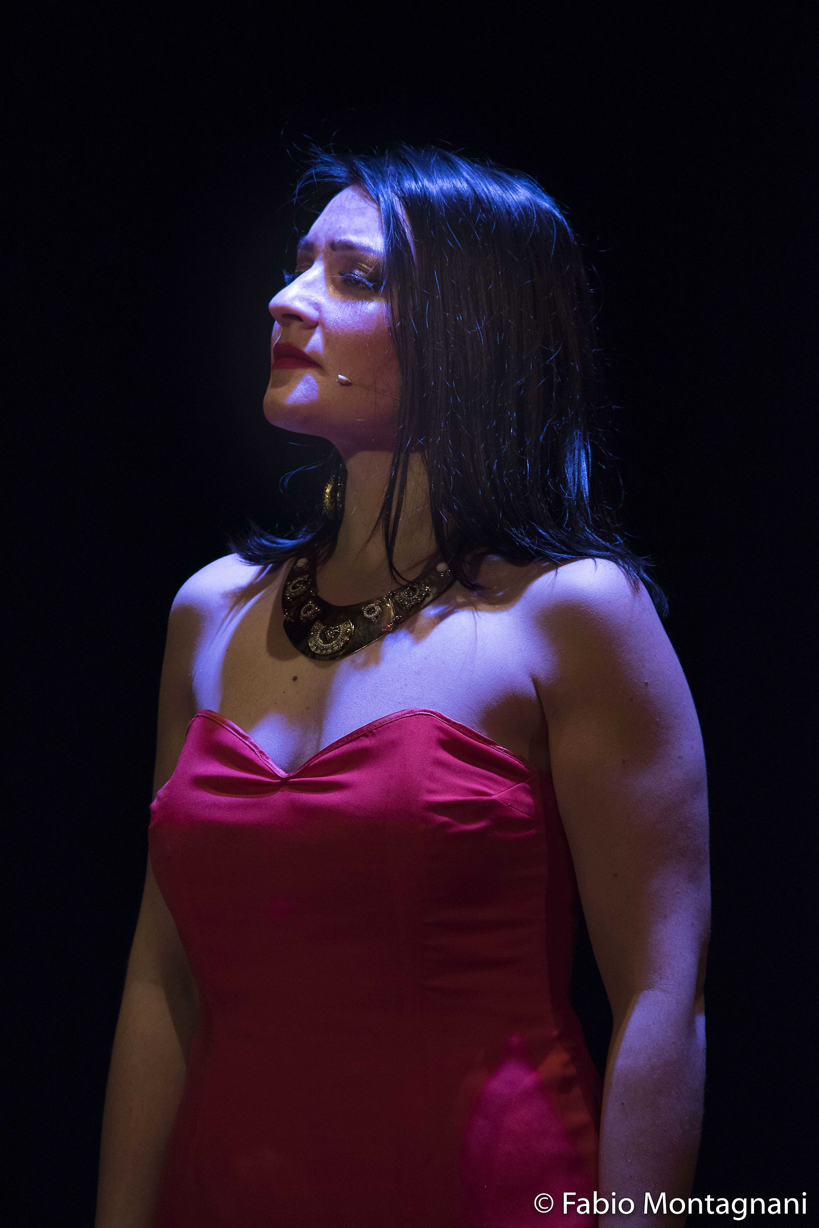 The Trojans - Cascine di Buti (pi)