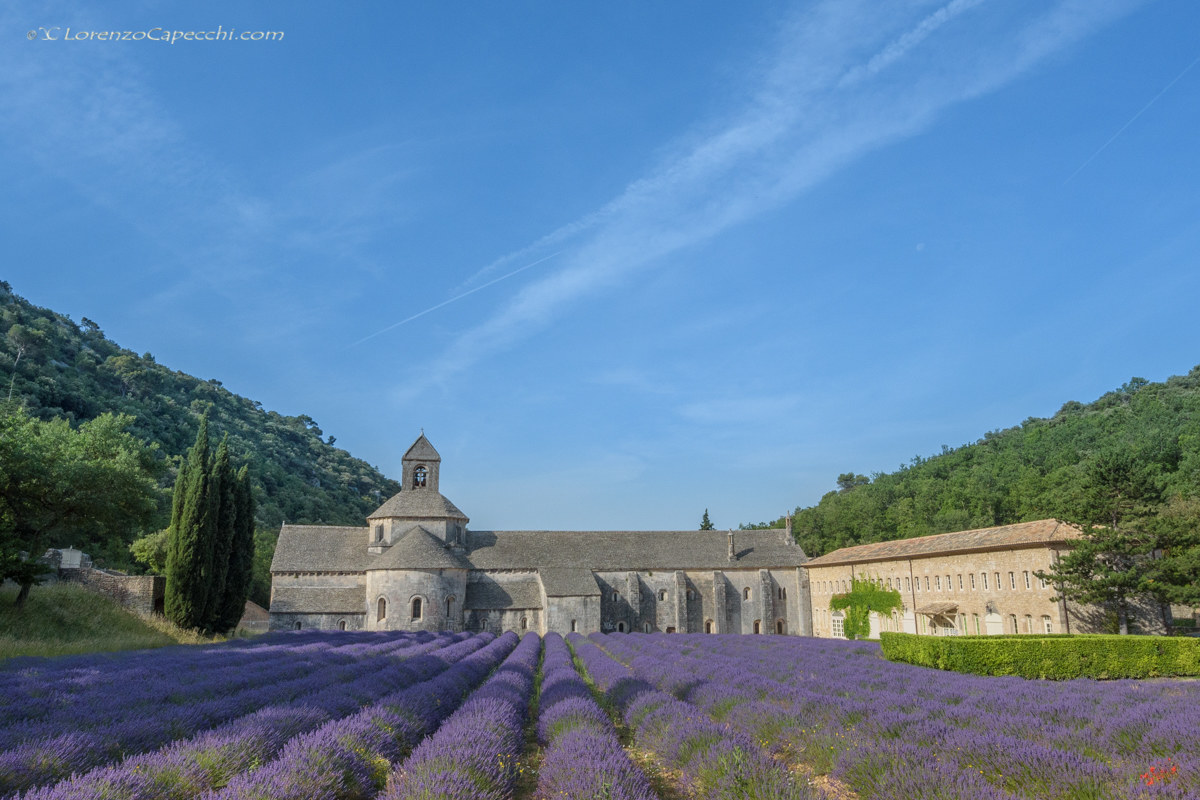 Abbaye Notre Dame de Sénanque