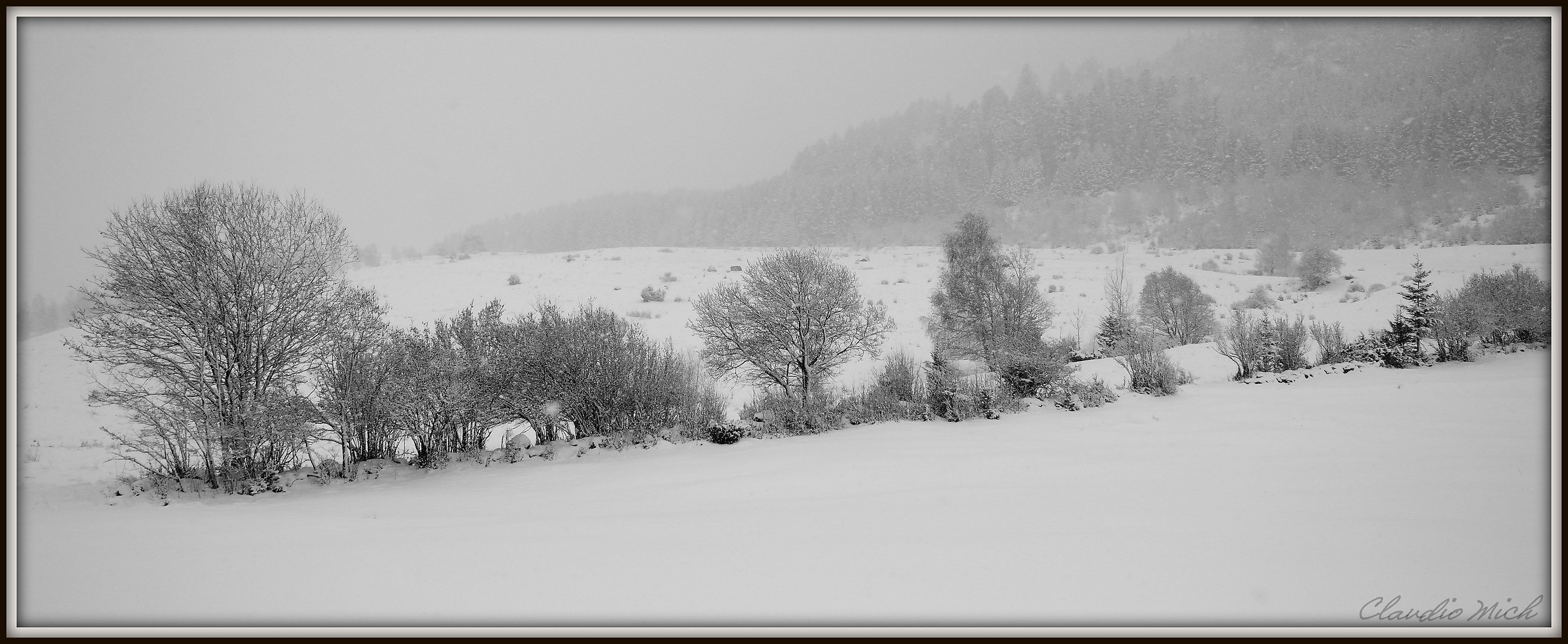 Neve in Val di Fiemme