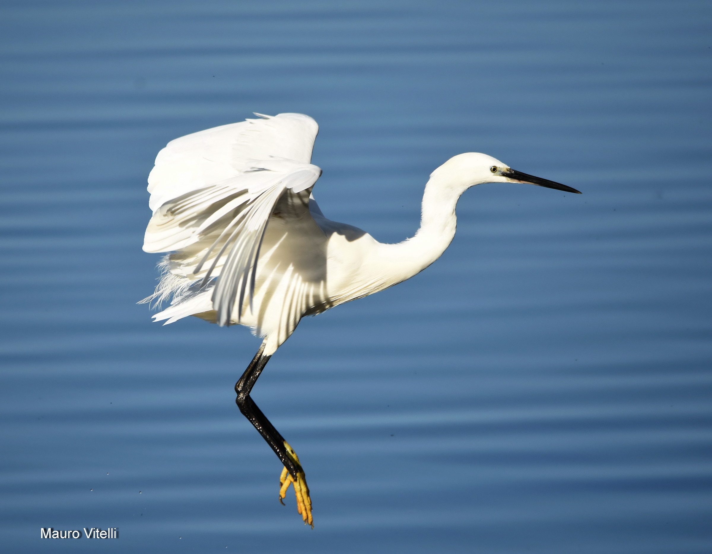 Easy ... but beautiful !!!