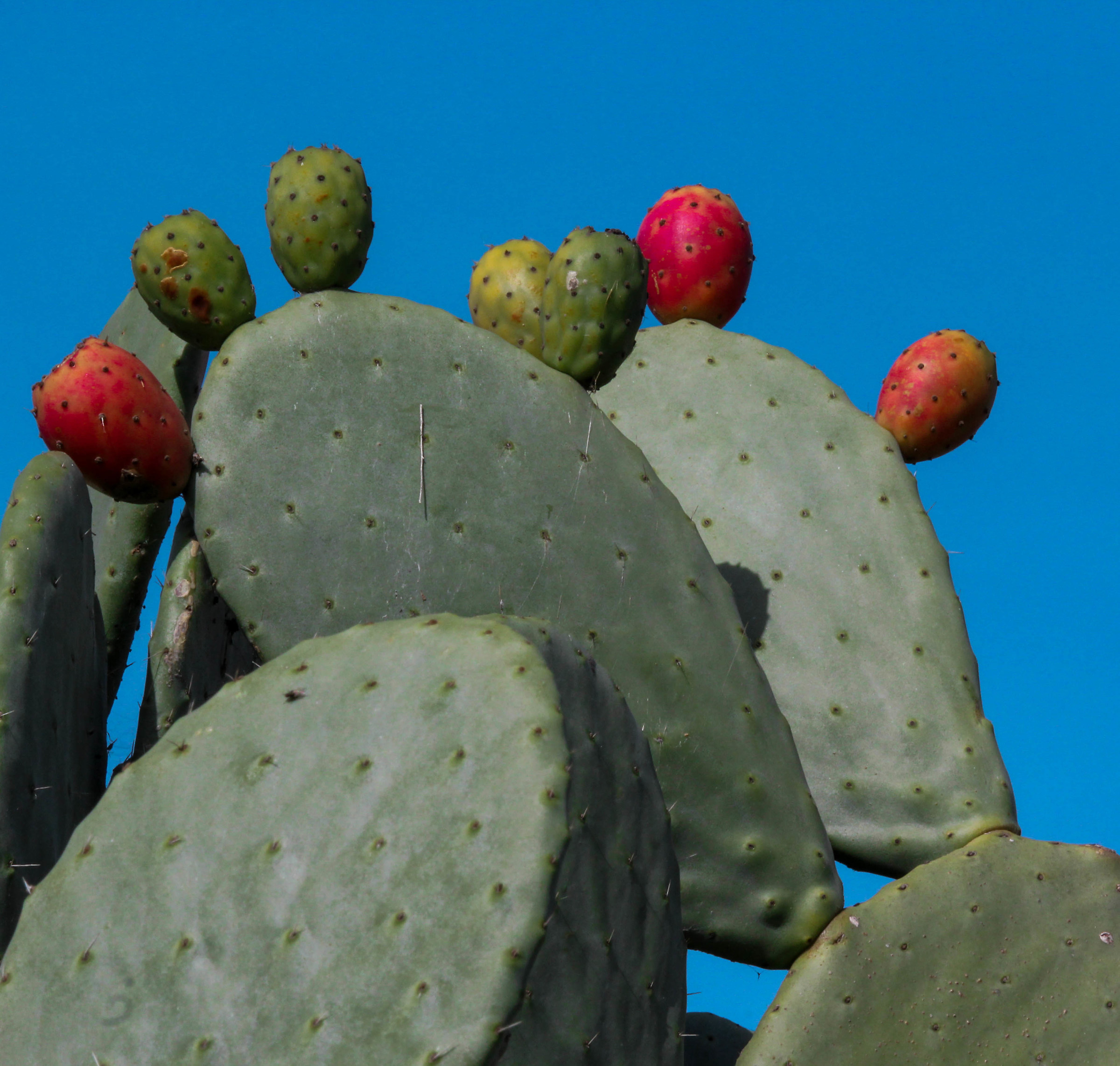 Colors and shapes on Via Tufello