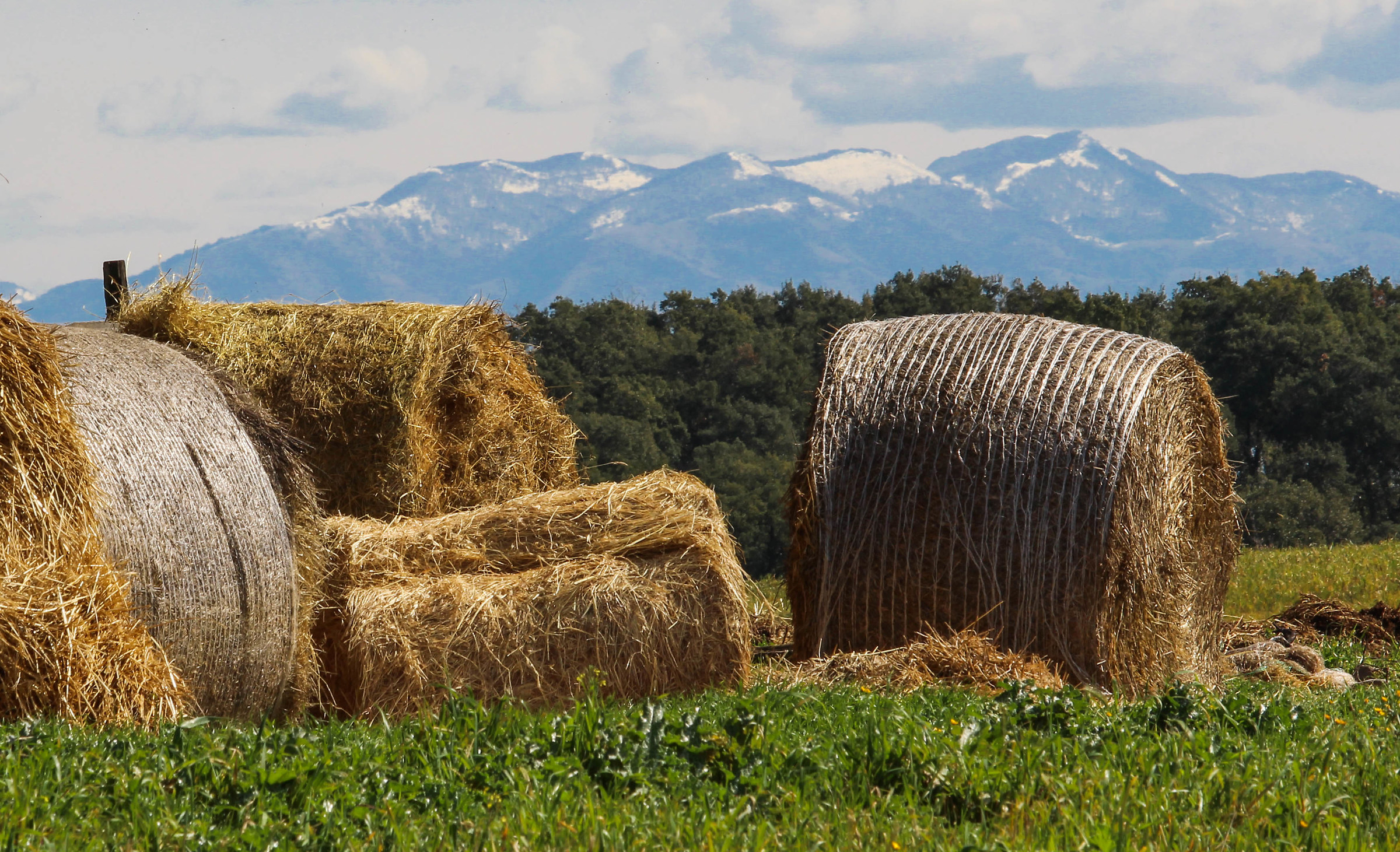 The snow in the distance on Via Tufello