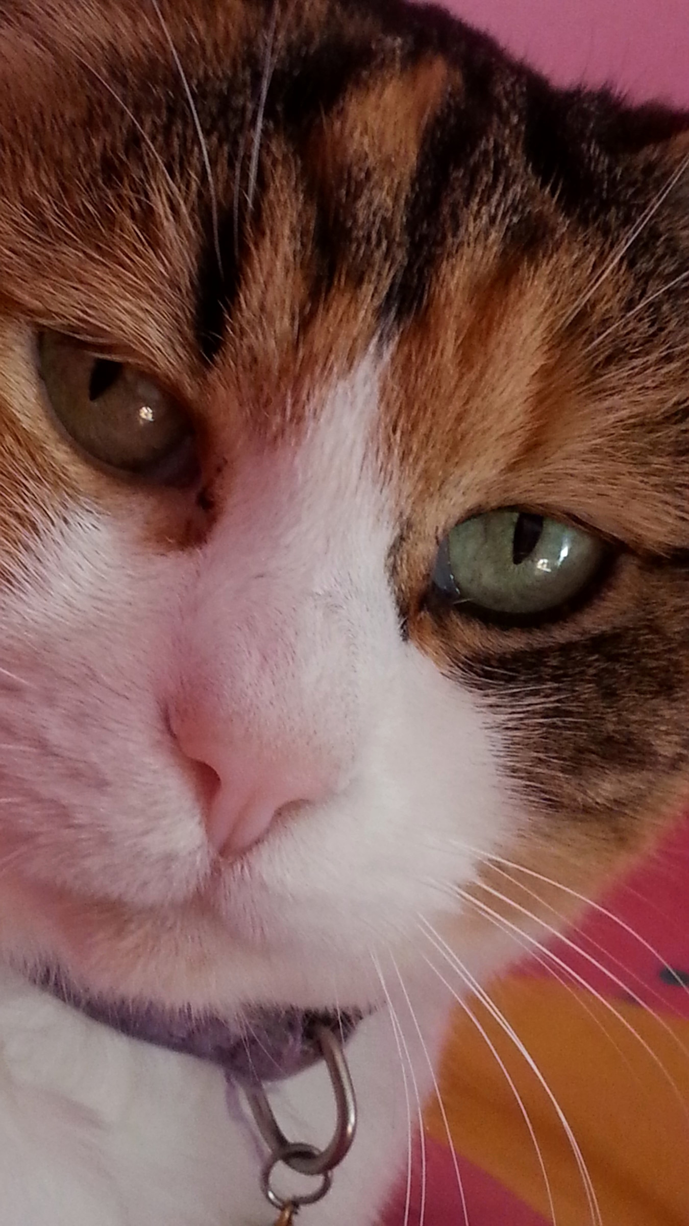 giochi di colore negli occhi