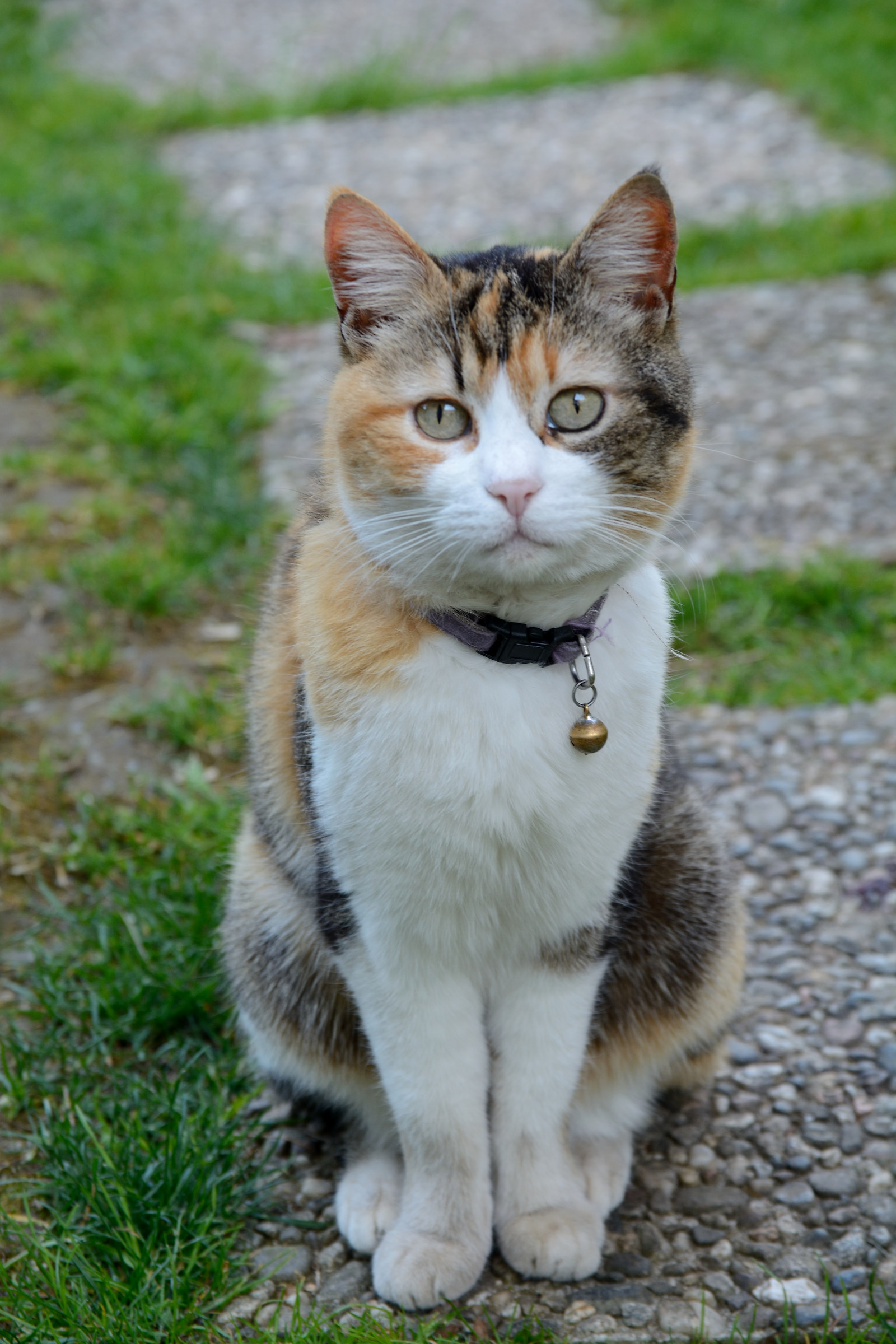 "posso venire da te?"