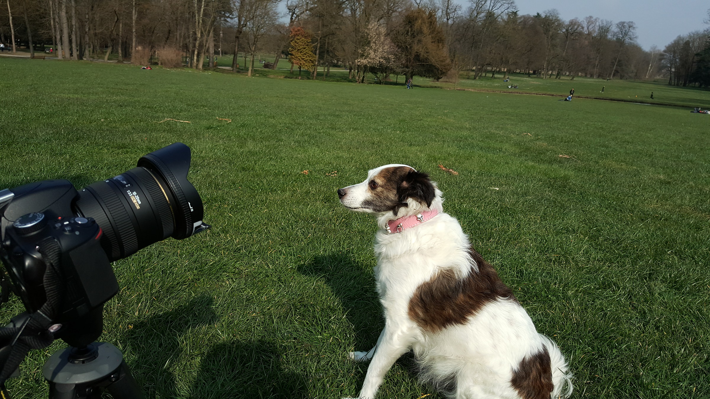 "scatta!" ...sono in posa "