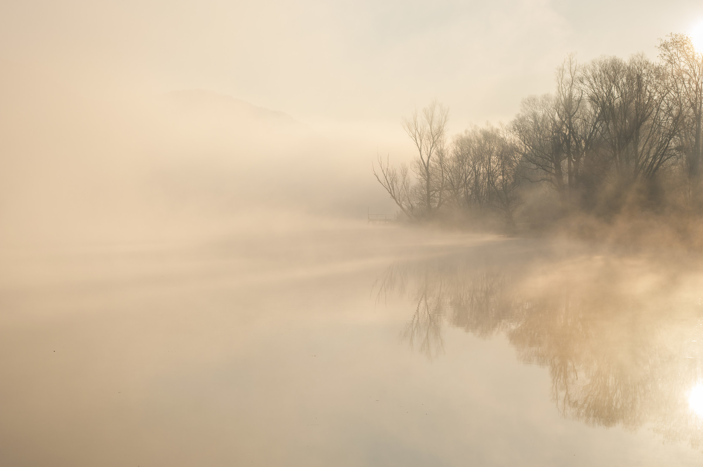 Perdita progressiva di consistenza
