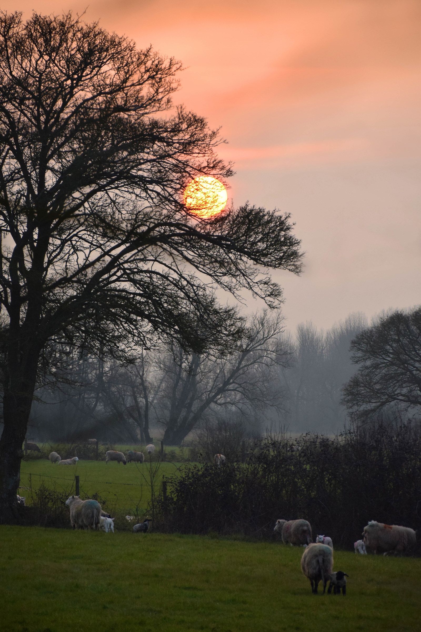 Sunst corso Rural England
