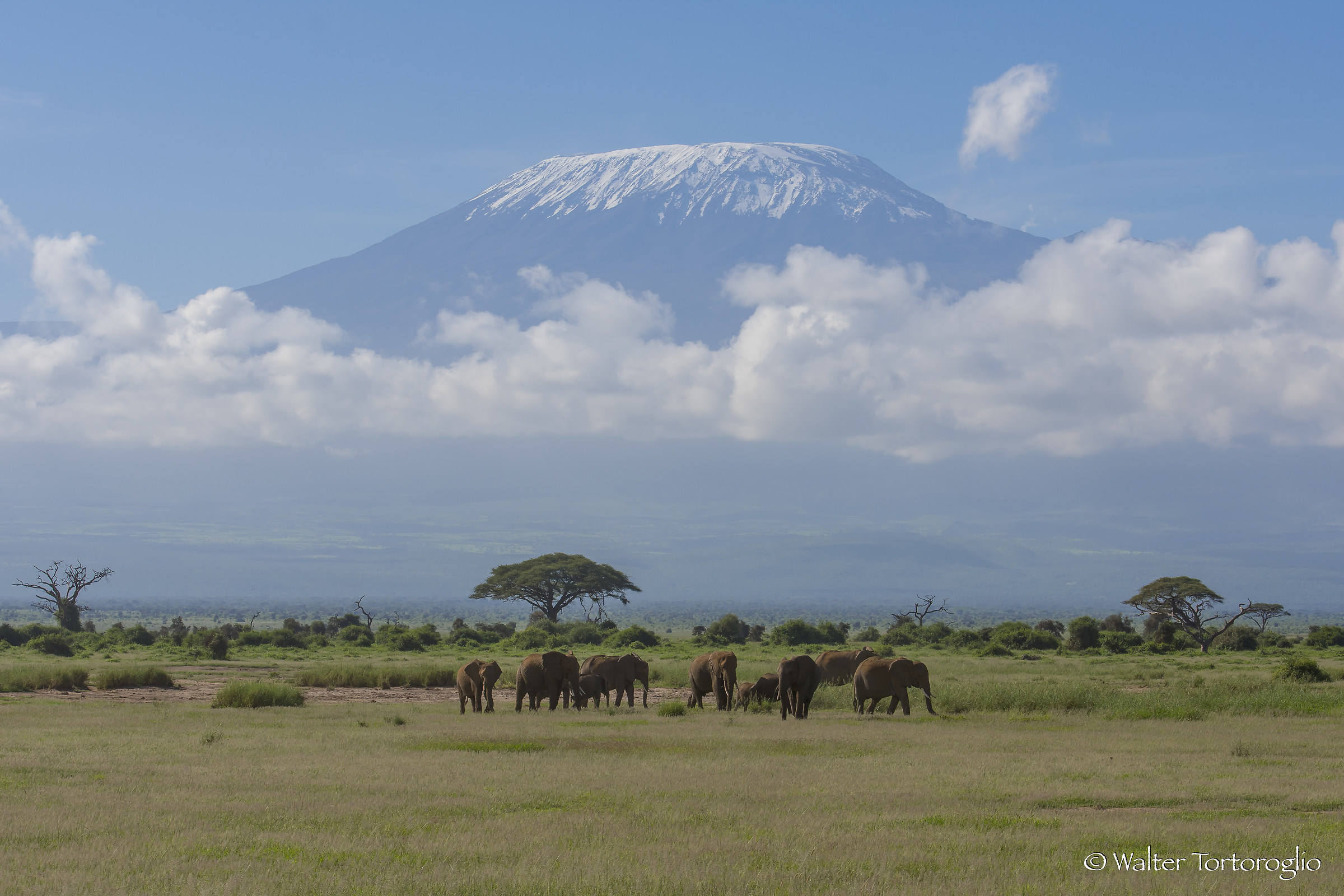 Alle falde del Kilimanjaro