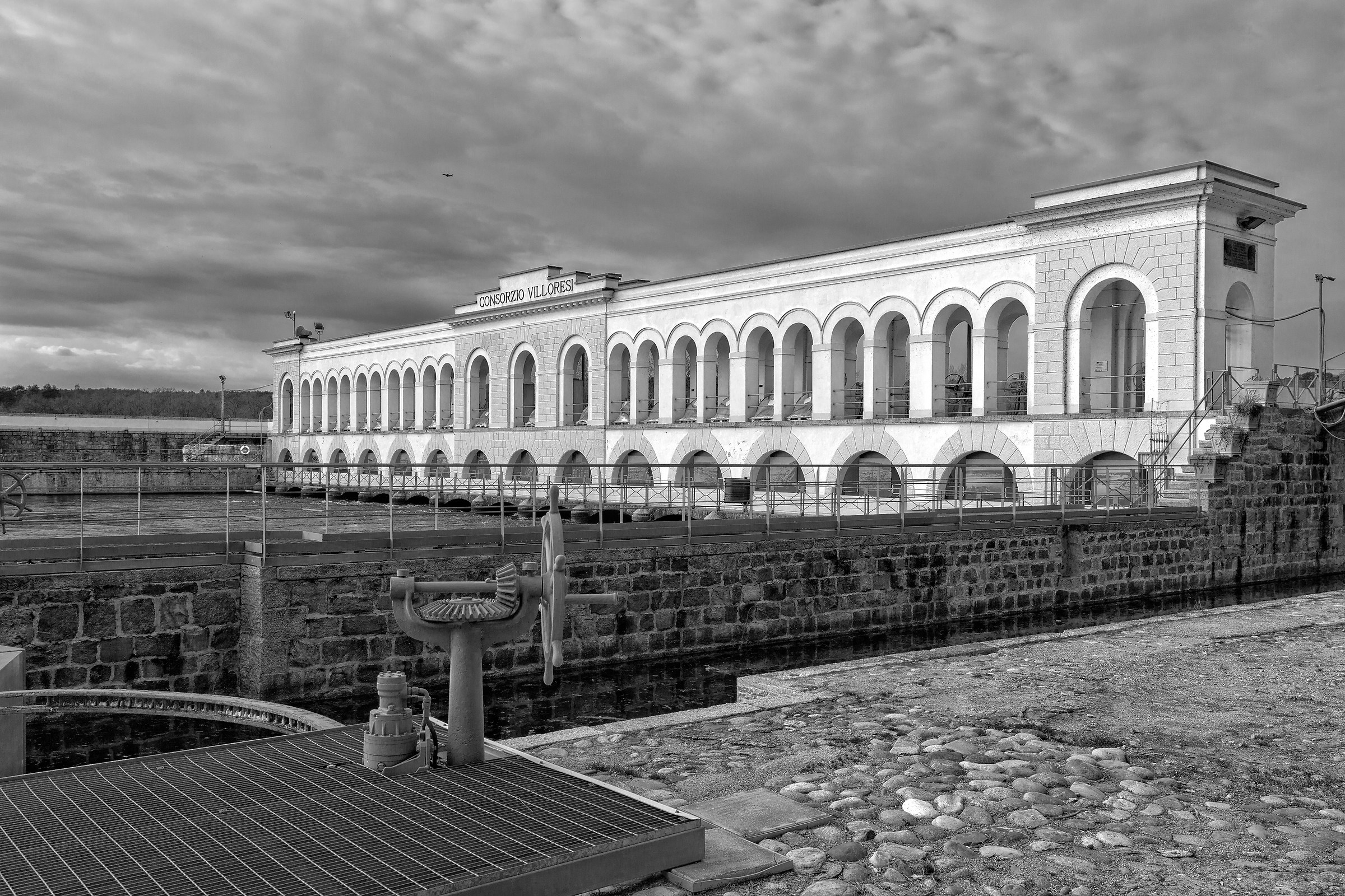 1884 Panperduto a throwback