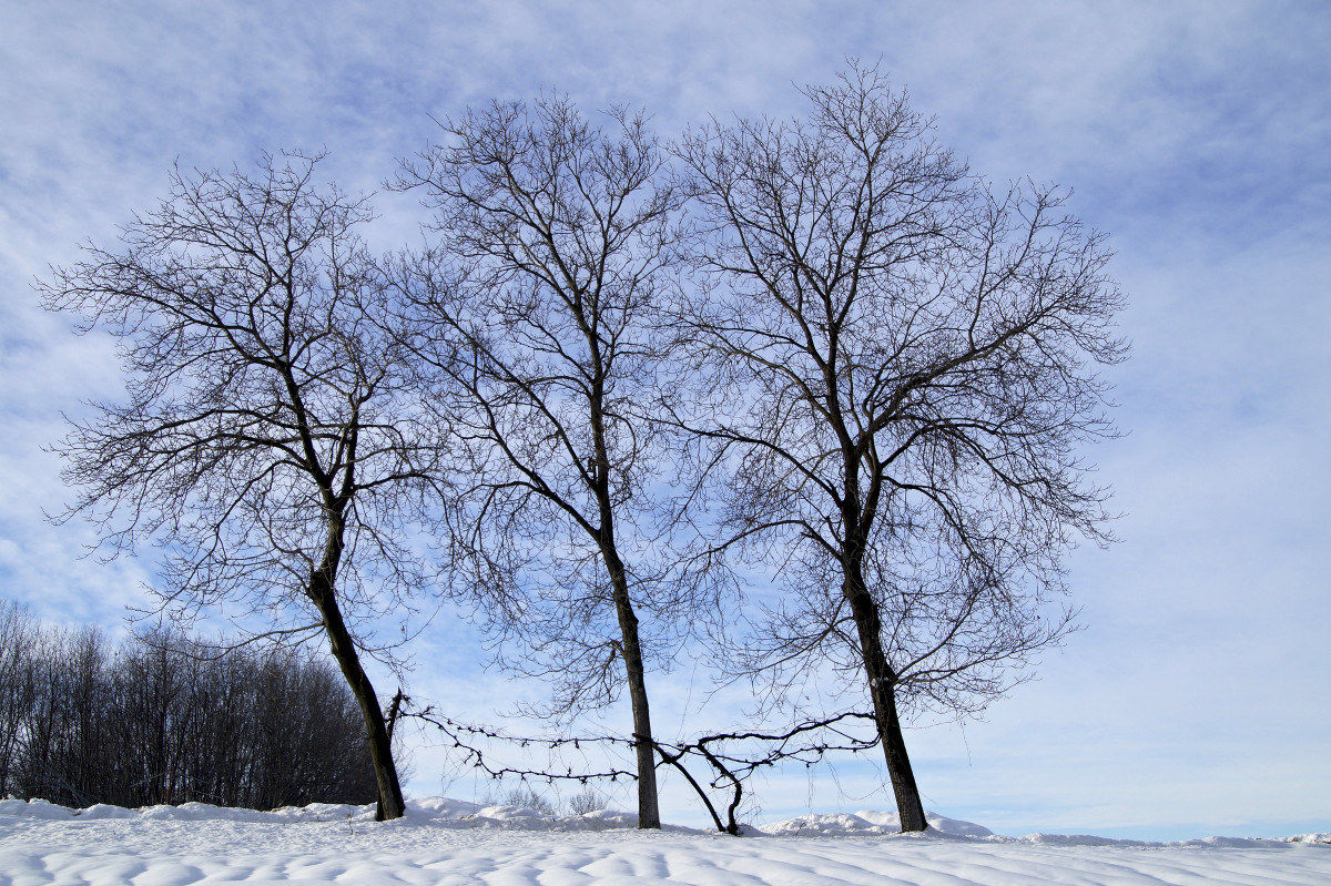 Legàmi indissoluble