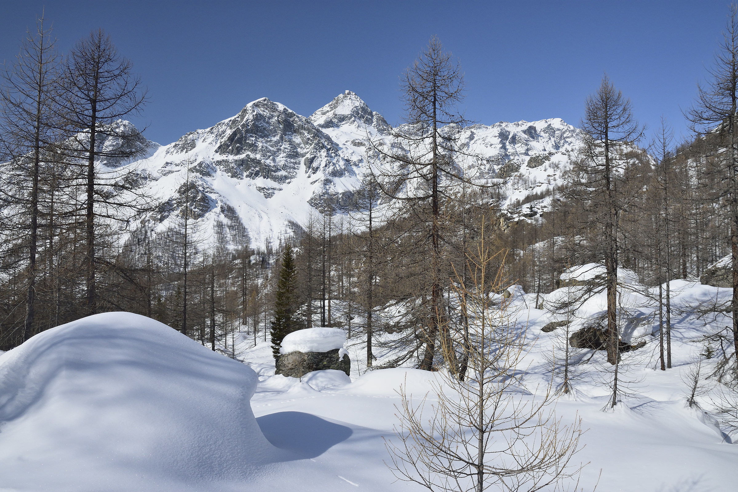 Just before arriving at Pian di Verra lower