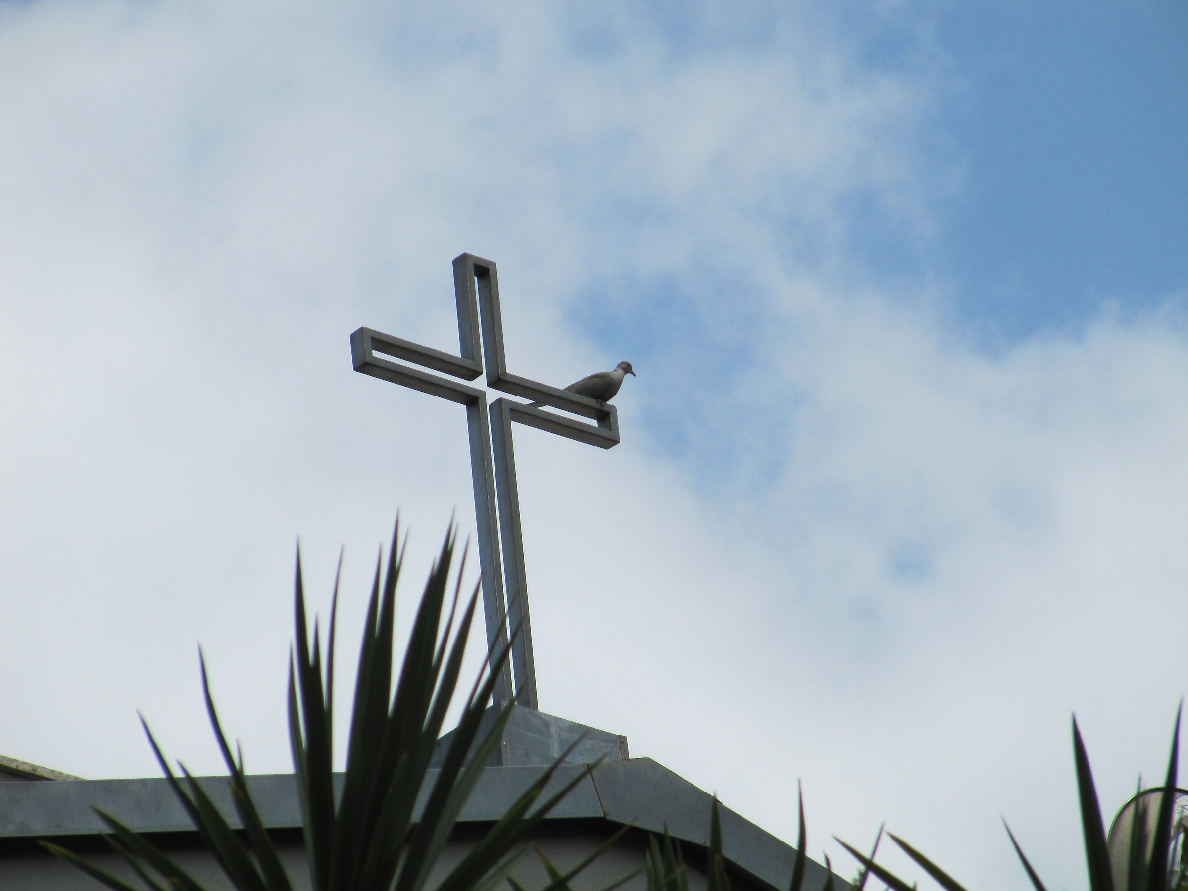 The dove on the cross