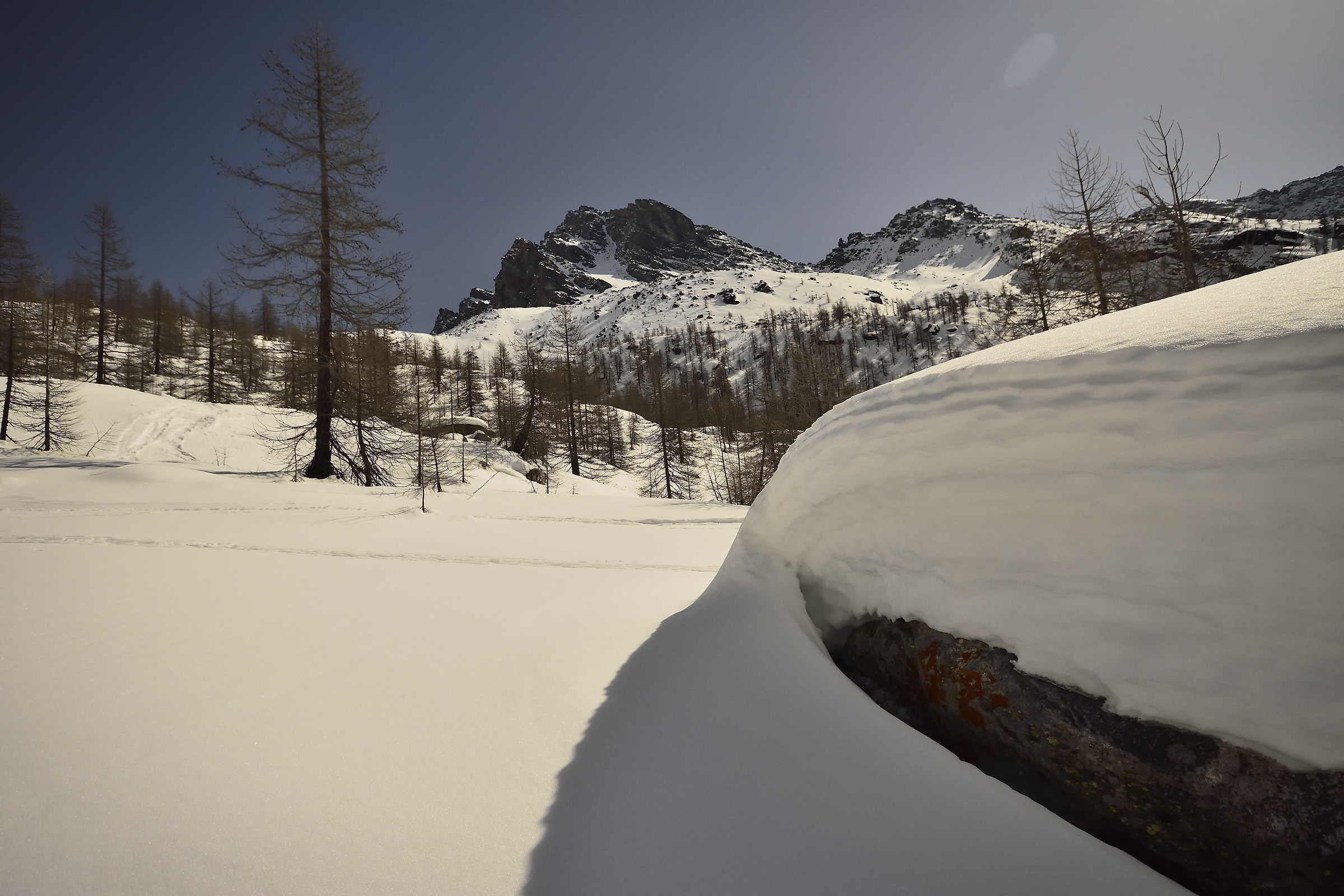 reflections in the snow