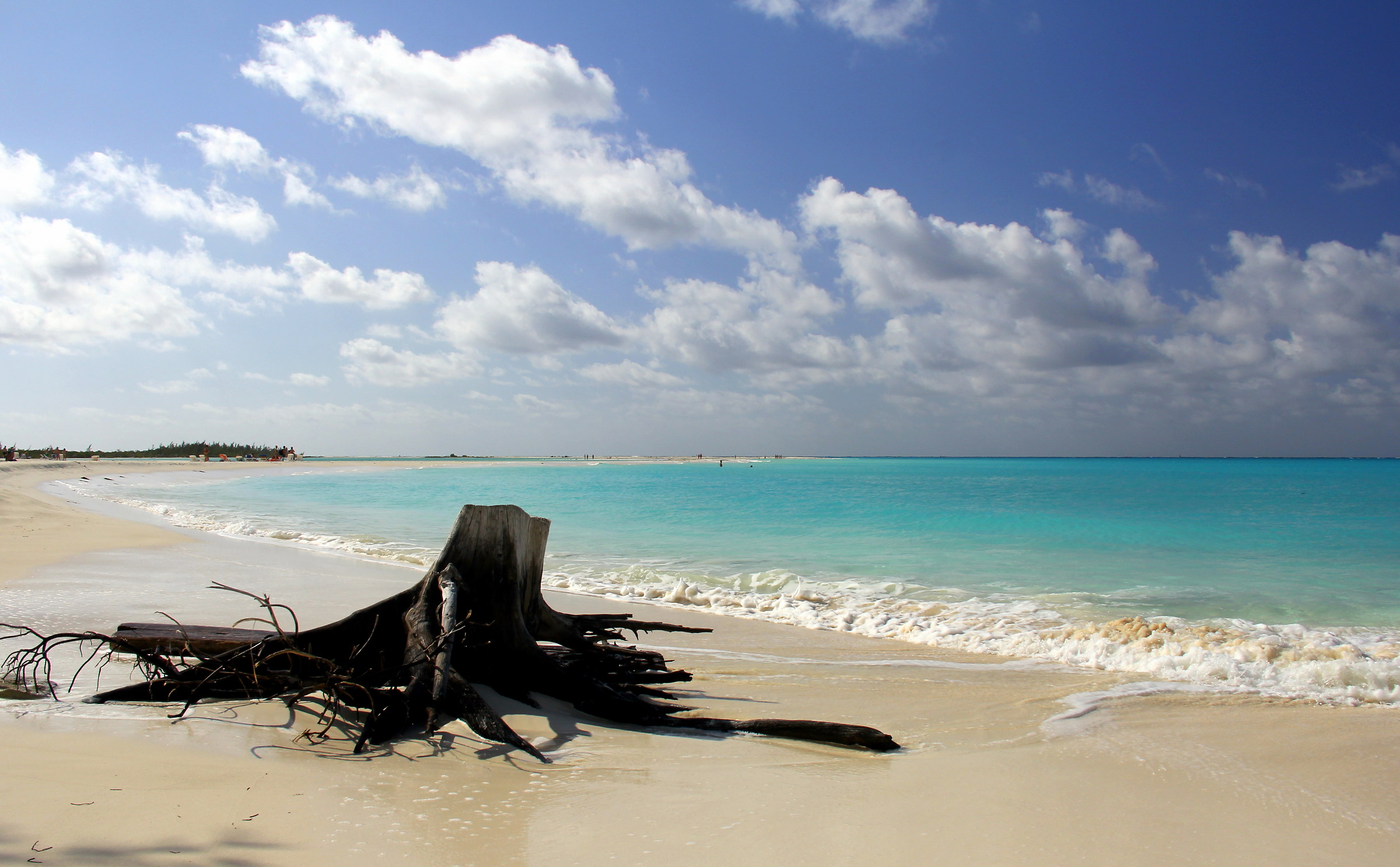 Like an octopus beached