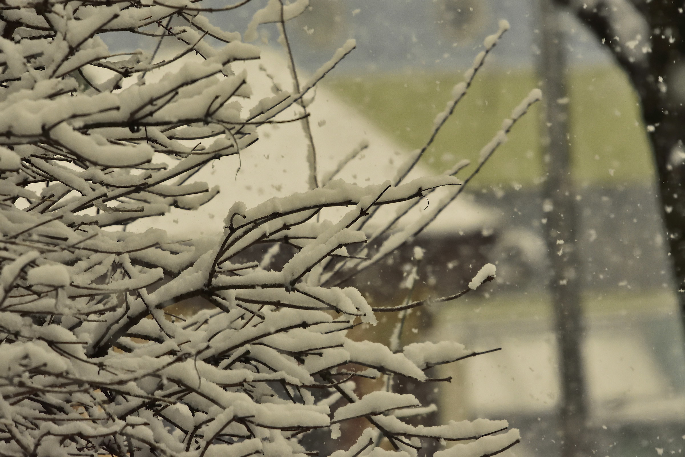 Late snowfall in March