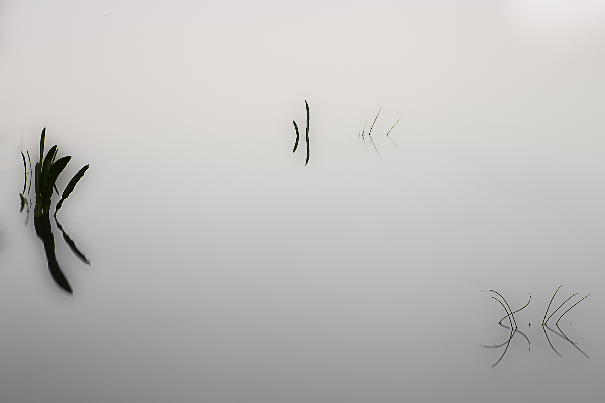 minimalist reflections